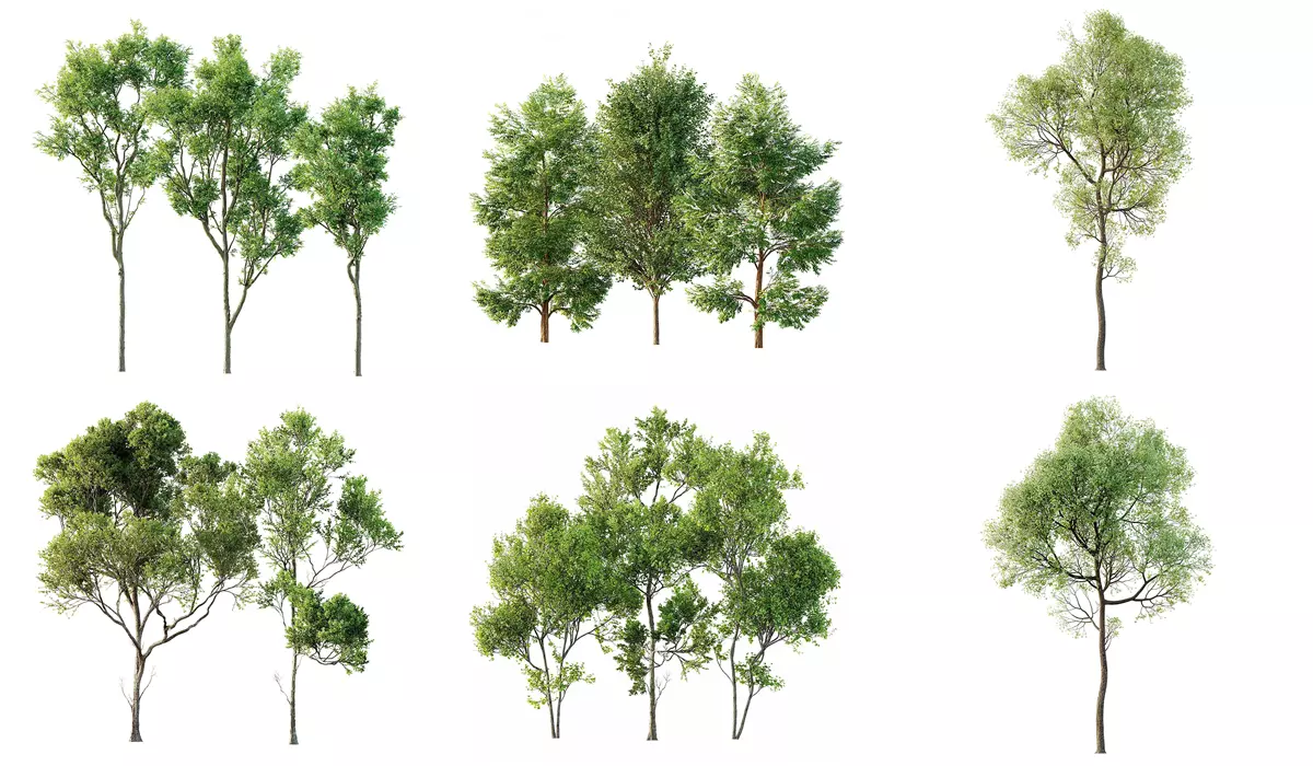 6 Different SETS of Plant Tree SET VOL143 3D Model Collection_0