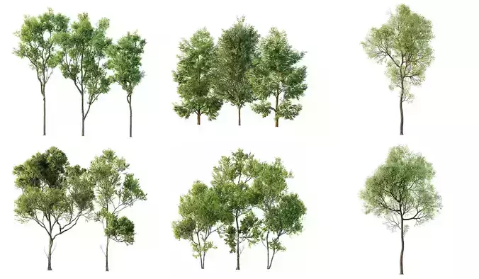 6 Different SETS of Plant Tree SET VOL143 3D Model Collection