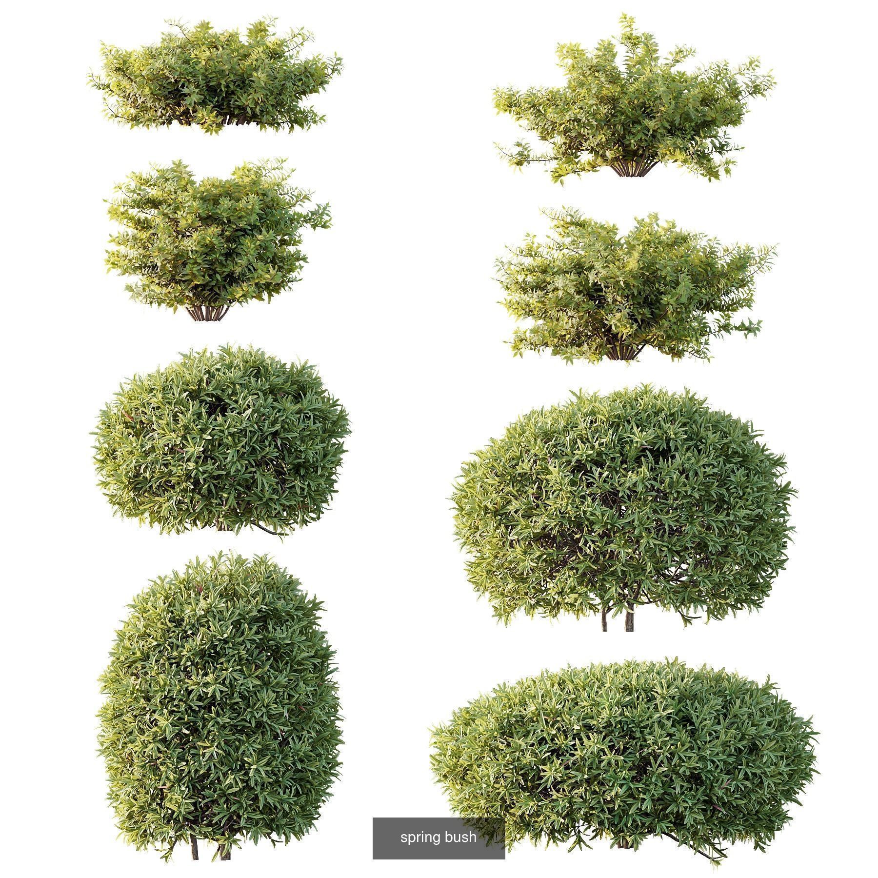 6 Different SETS of Plant Bush and Grass SET VOL145 3D Model Collection_6