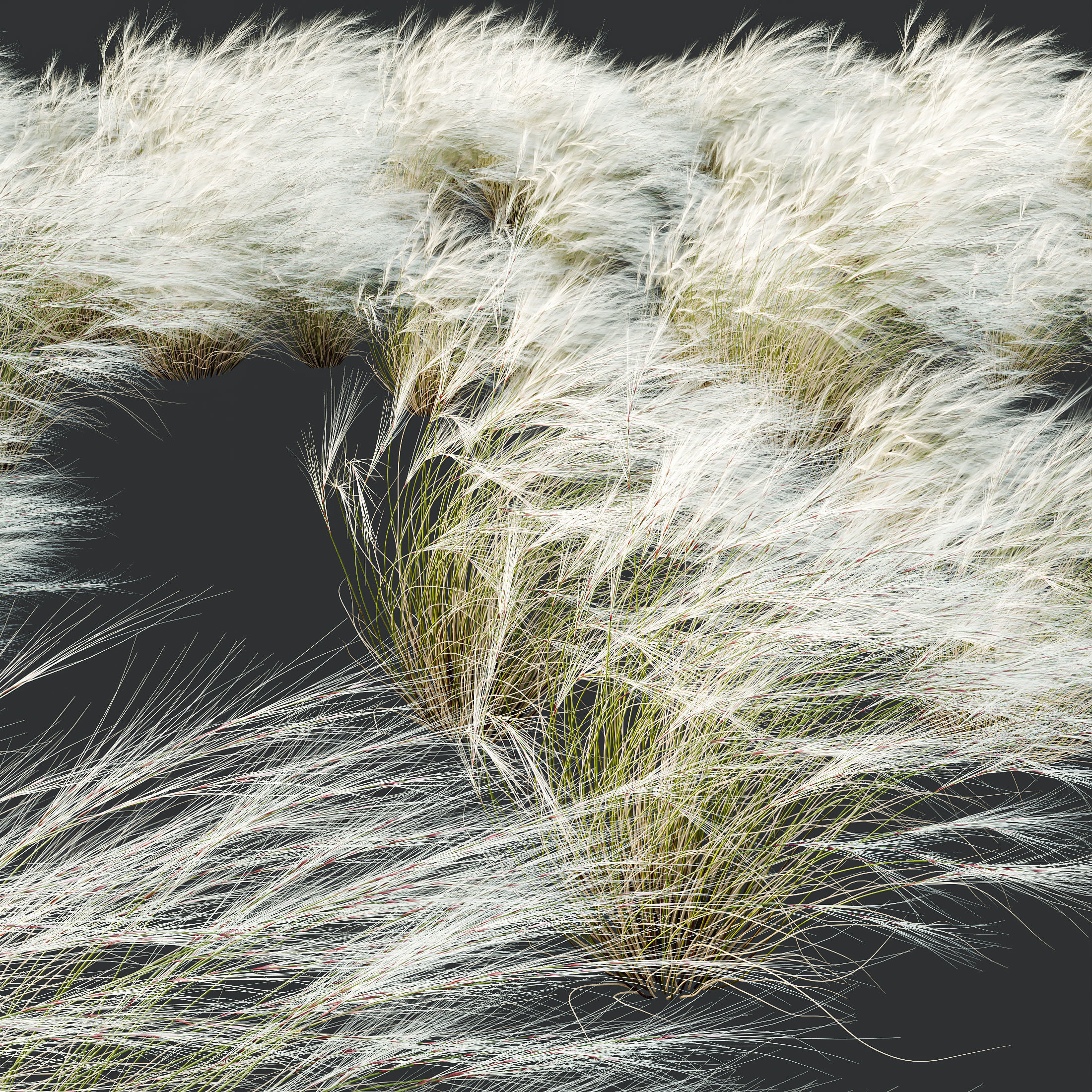 6 Different SETS of Plant Bush and Grass SET VOL145 3D Model Collection_25