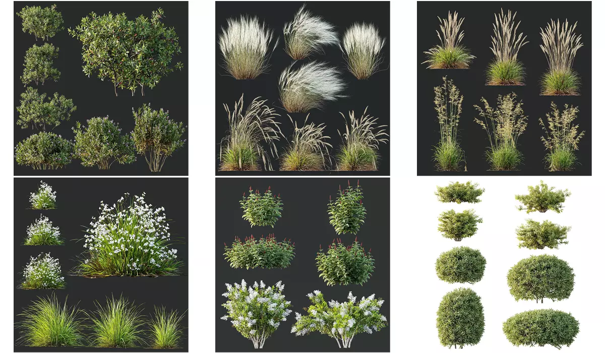 6 Different SETS of Plant Bush and Grass SET VOL145 3D Model Collection_0