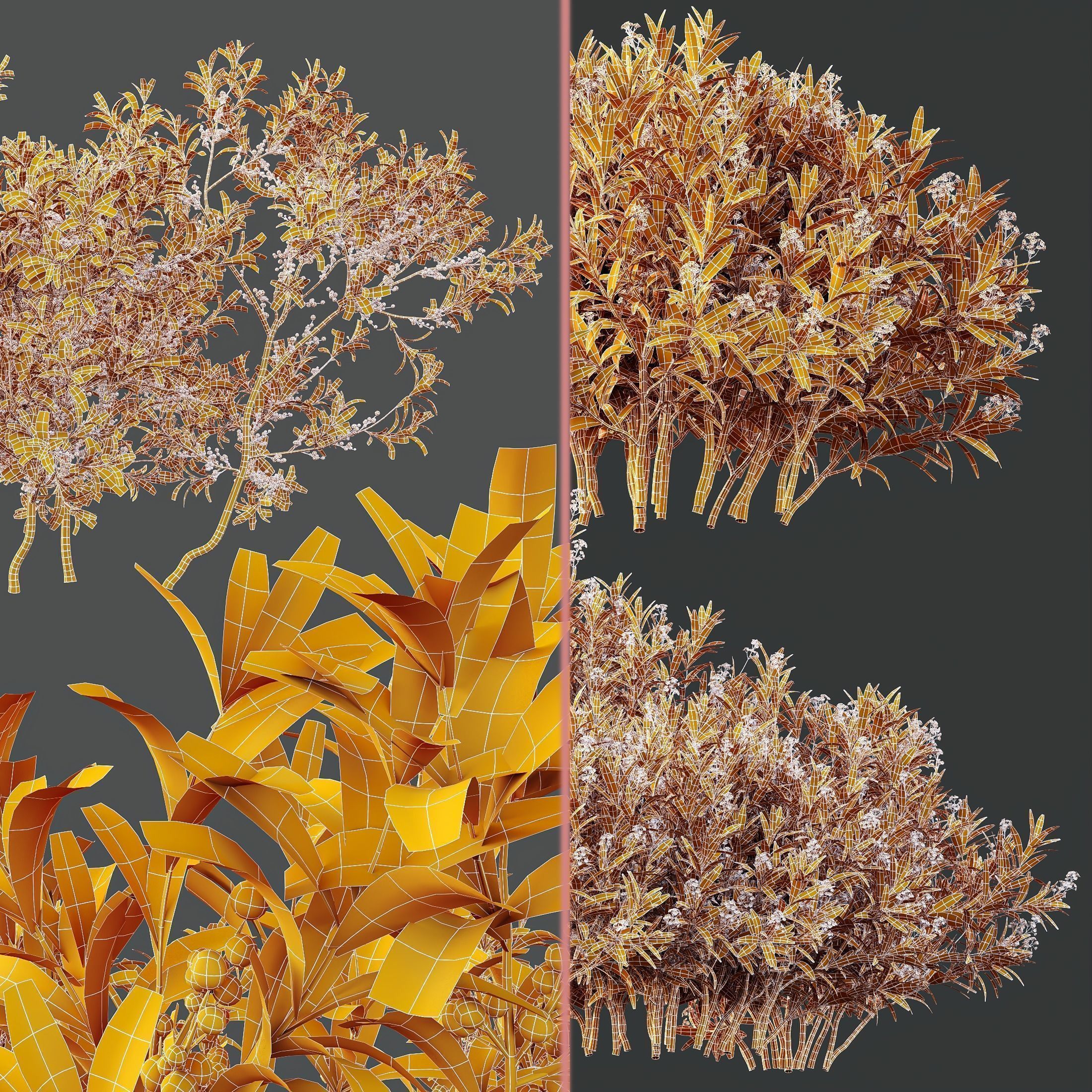 6 Different SETS of Plant Bush and Grass SET VOL145 3D Model Collection_22