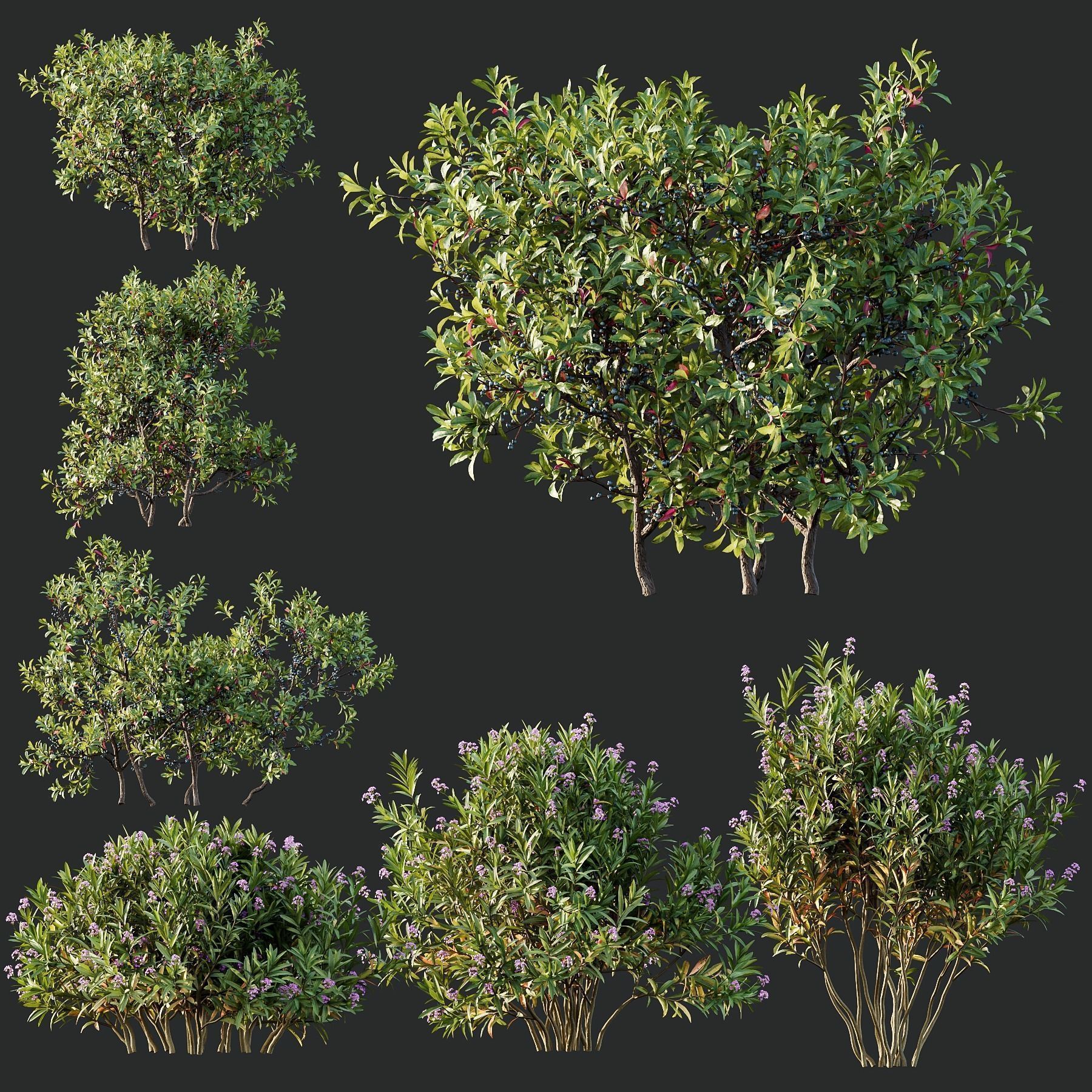 6 Different SETS of Plant Bush and Grass SET VOL145 3D Model Collection_1