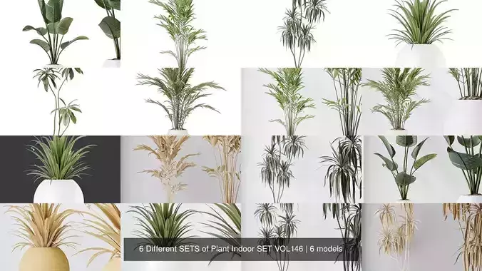 6 Different SETS of Plant Indoor SET VOL146