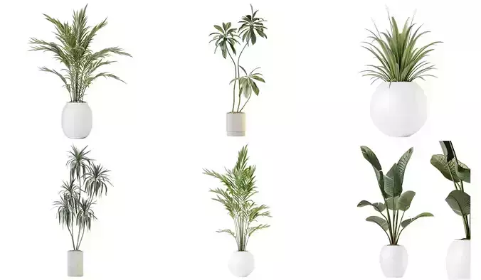 6 Different SETS of Plant Indoor SET VOL146 3D Model Collection