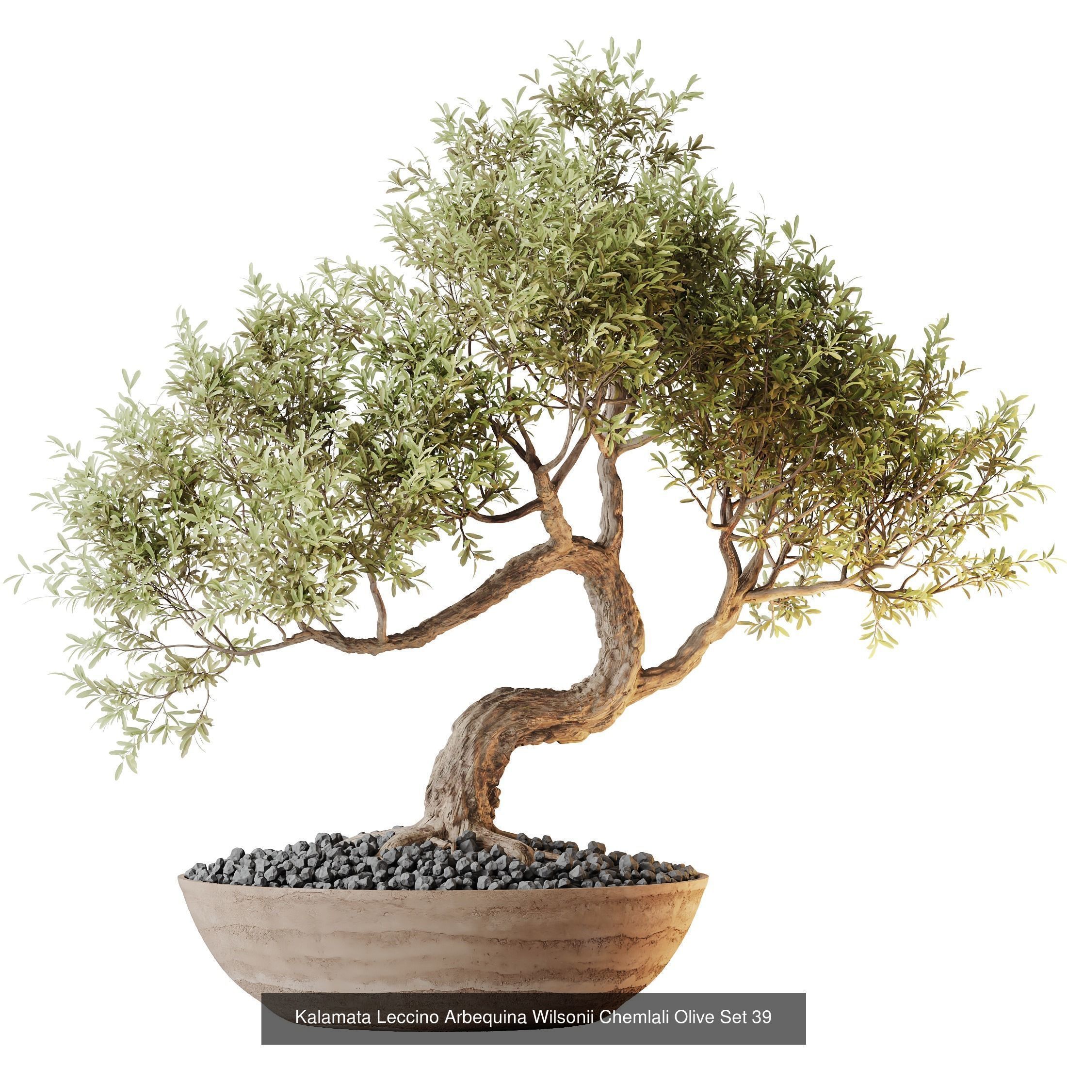 12 Different SETS of Plant Indoor SET VOL148 3D Model Collection_11