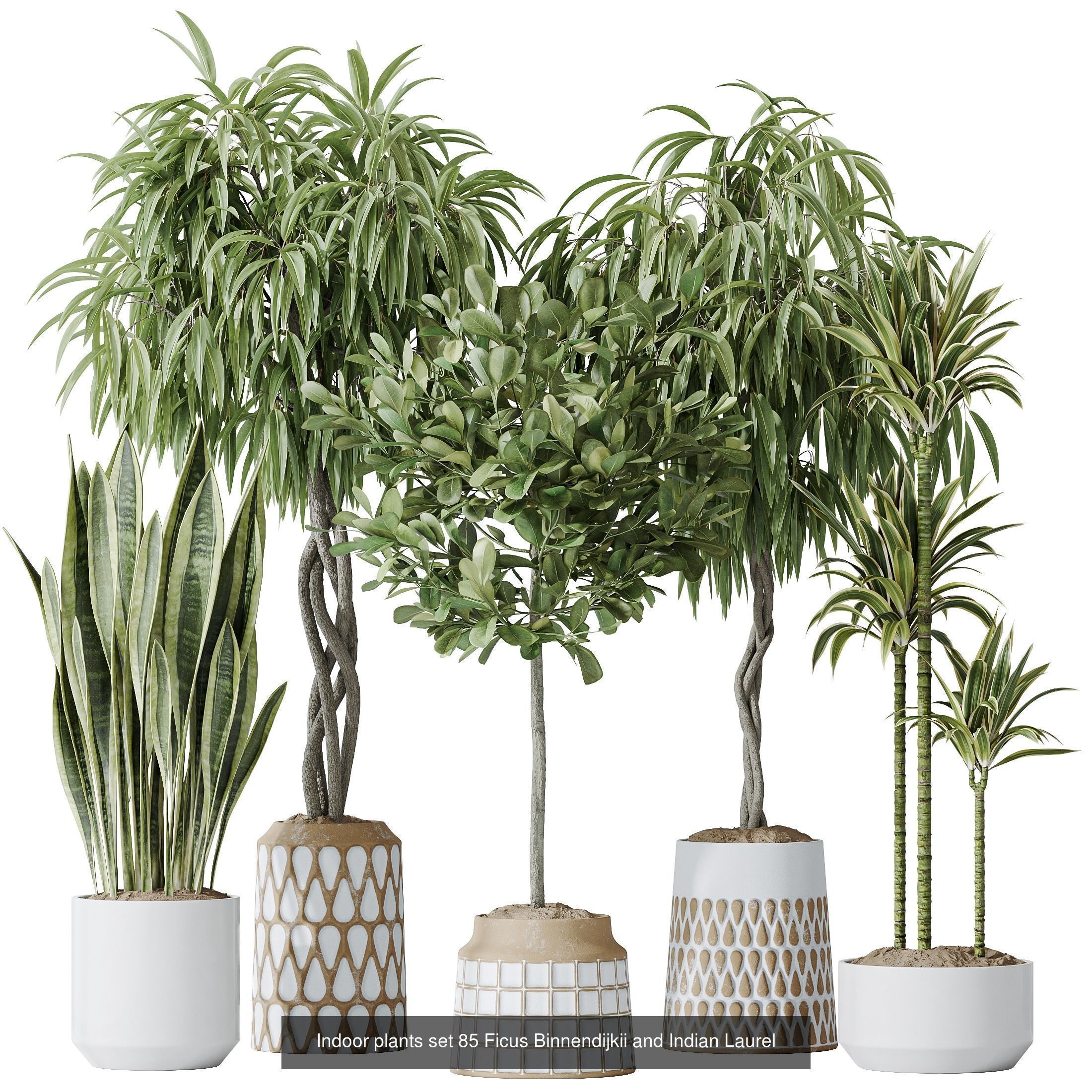 12 Different SETS of Plant Indoor SET VOL148 3D Model Collection_9
