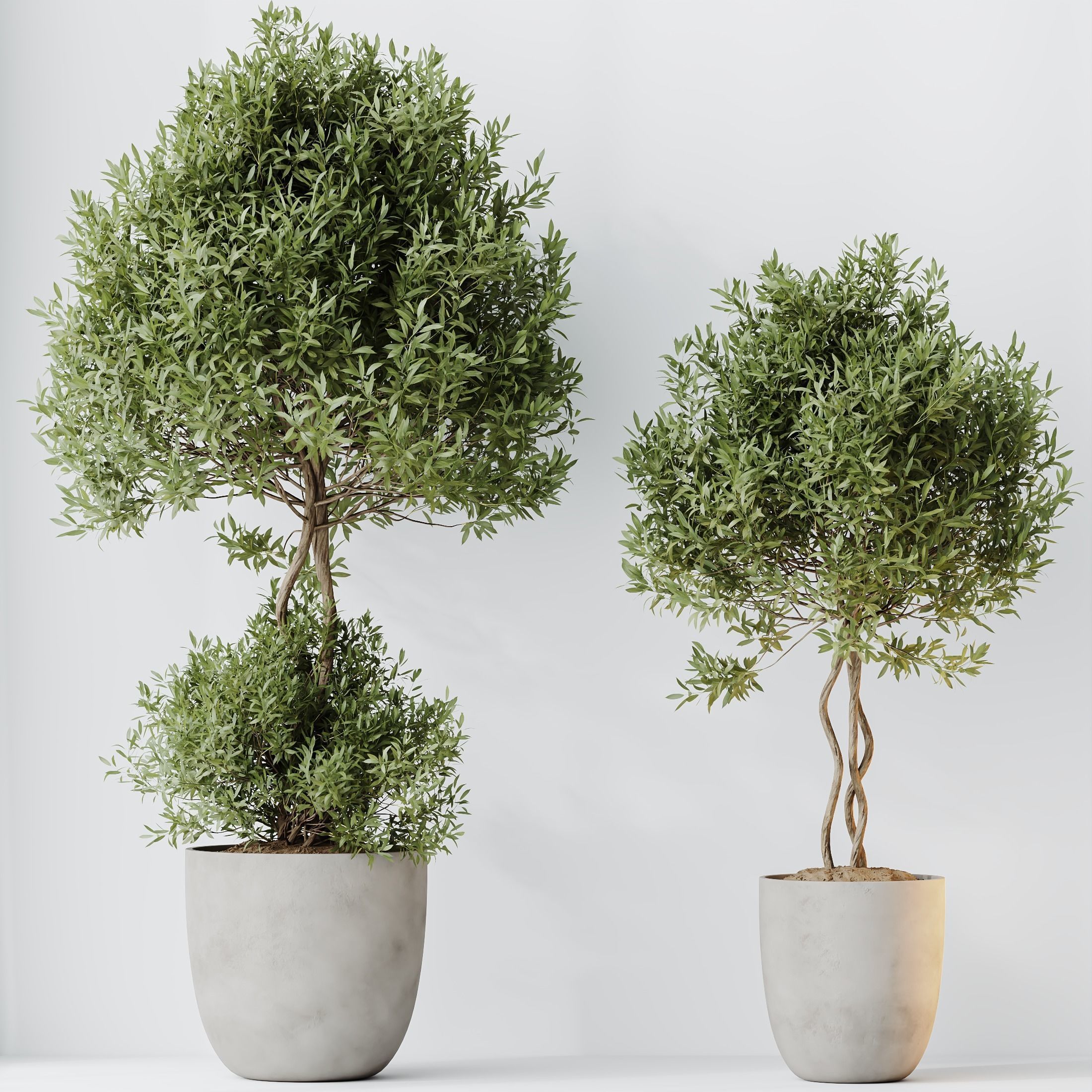 12 Different SETS of Plant Indoor SET VOL148 3D Model Collection_34