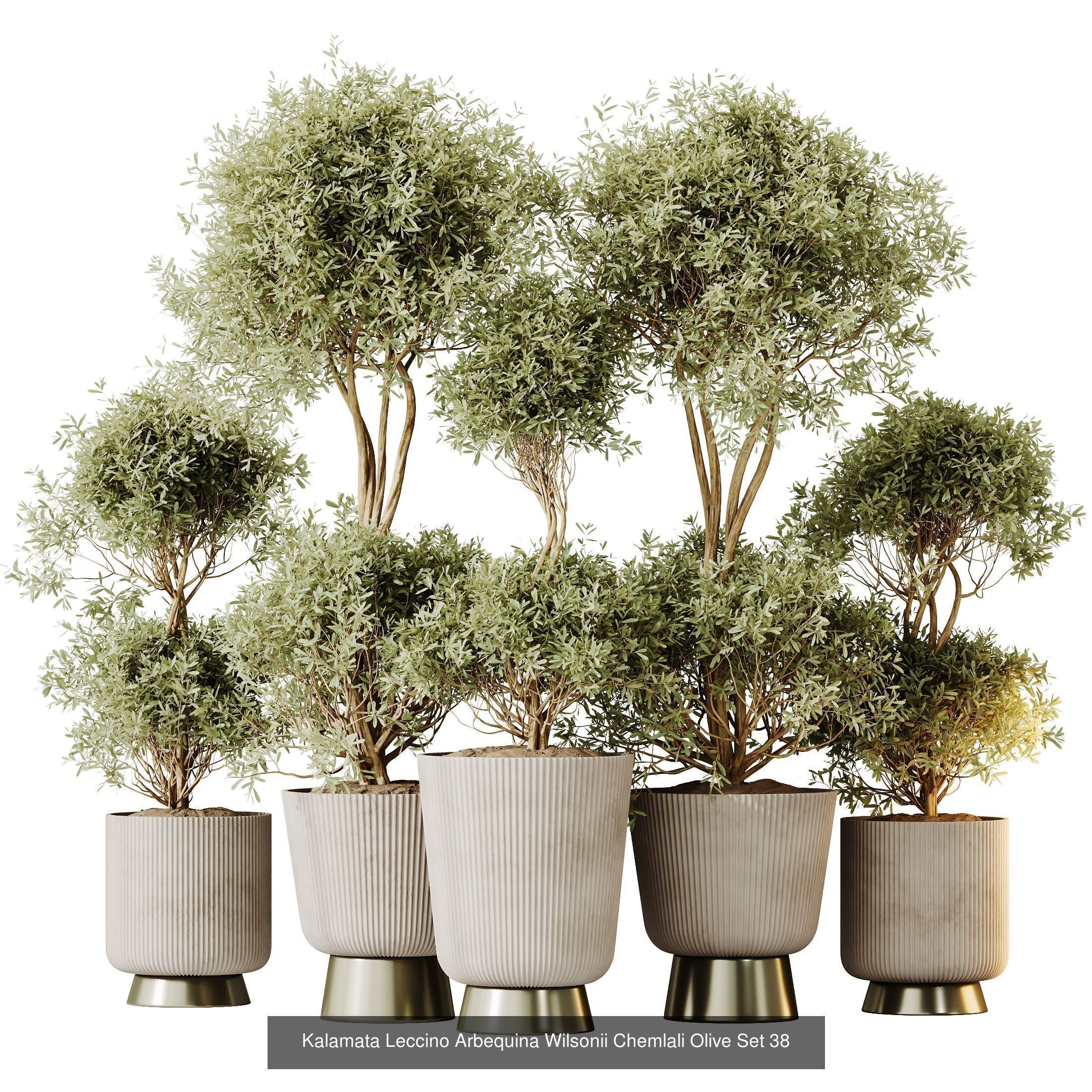 12 Different SETS of Plant Indoor SET VOL148 3D Model Collection_8