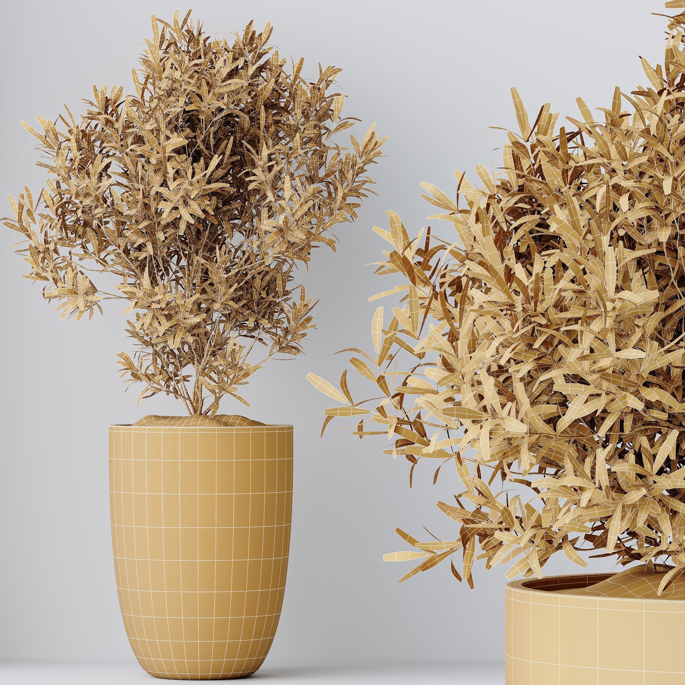 12 Different SETS of Plant Indoor SET VOL148 3D Model Collection_44