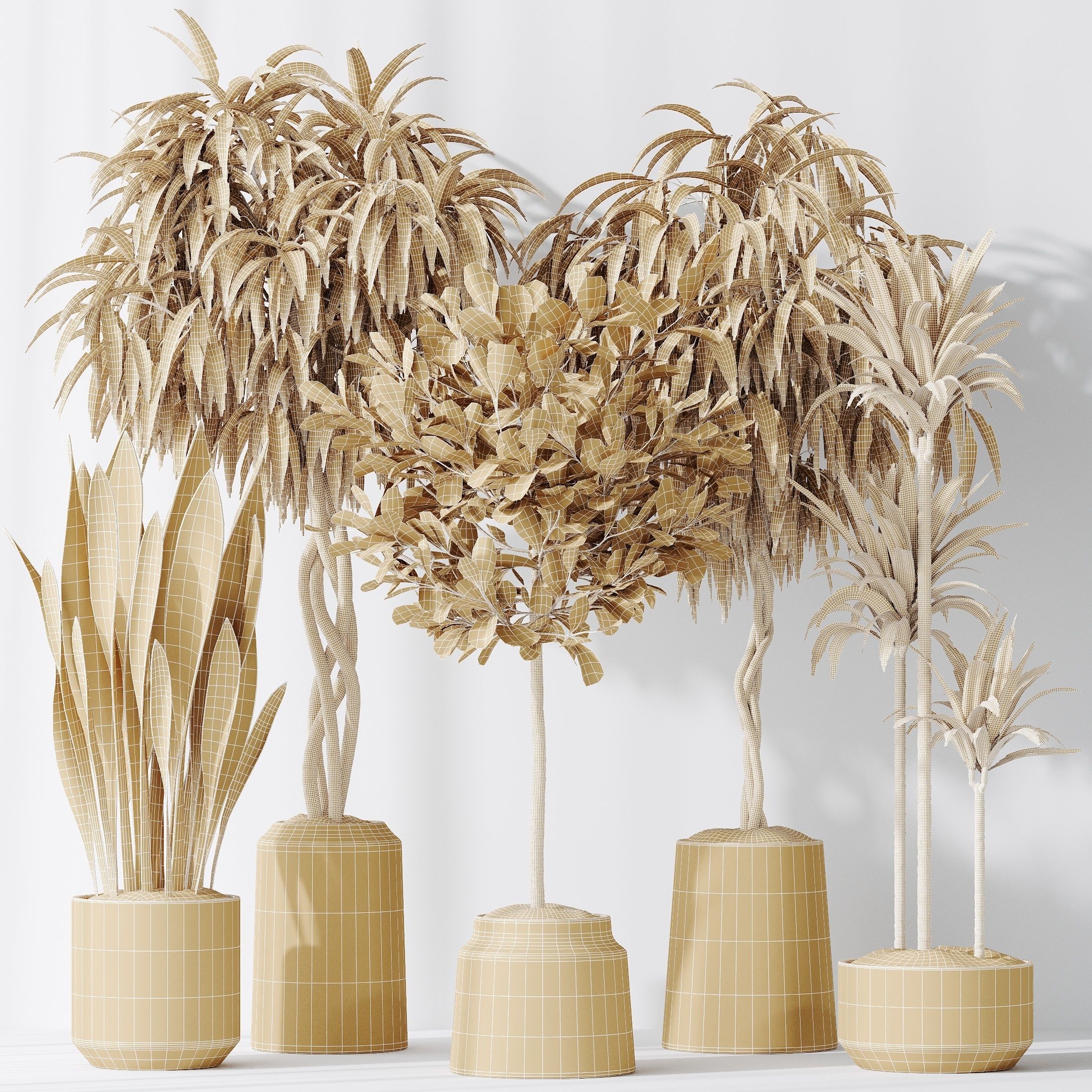 12 Different SETS of Plant Indoor SET VOL148 3D Model Collection_41