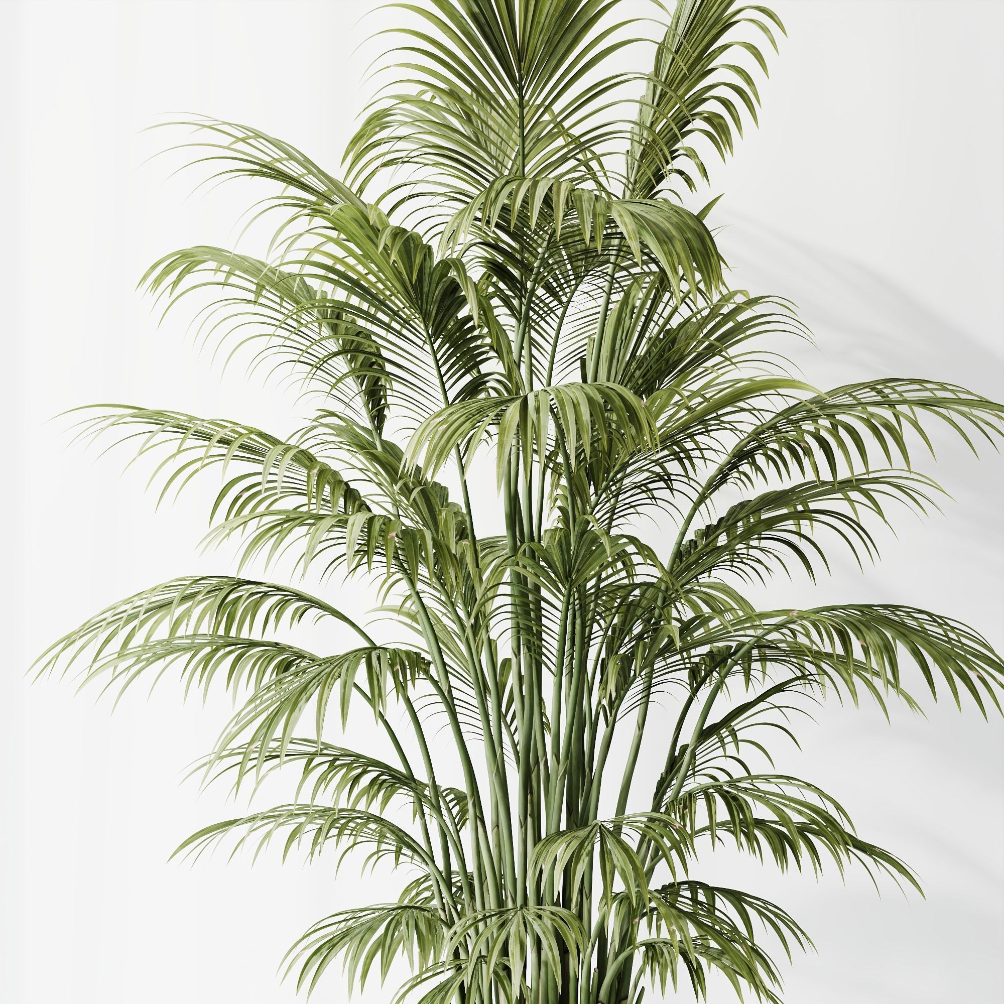 12 Different SETS of Plant Indoor SET VOL148 3D Model Collection_31