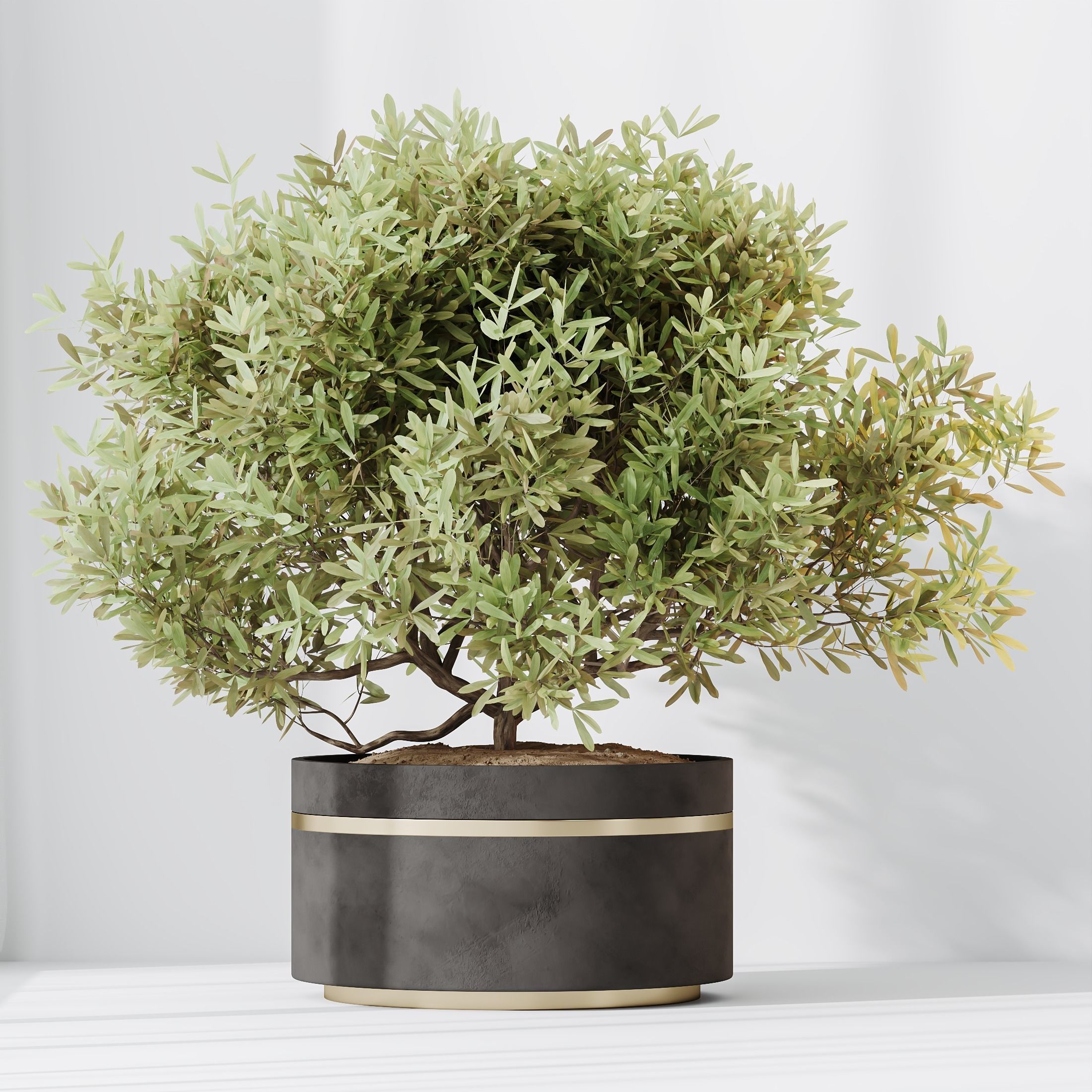 12 Different SETS of Plant Indoor SET VOL148 3D Model Collection_22