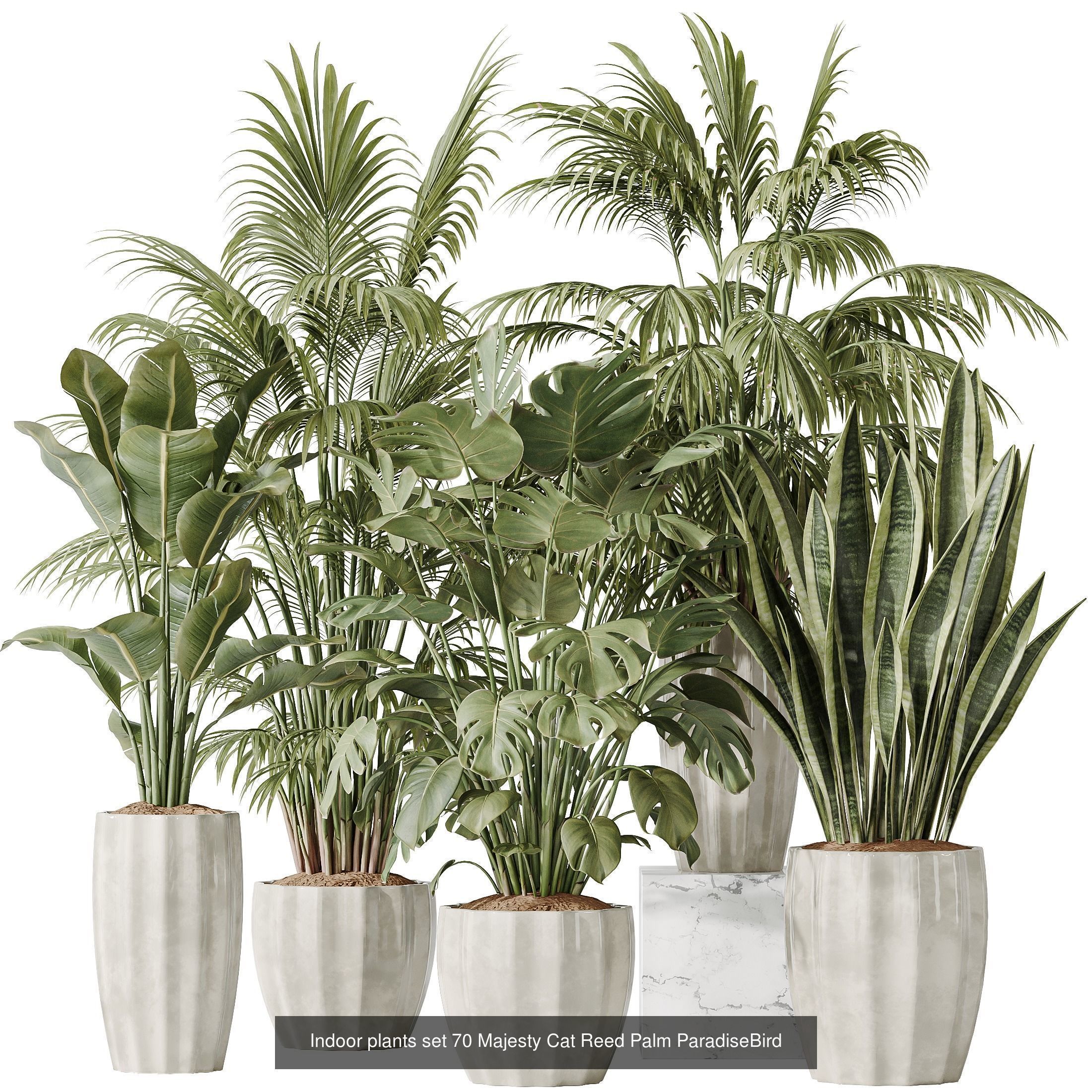 12 Different SETS of Plant Indoor SET VOL148 3D Model Collection_1