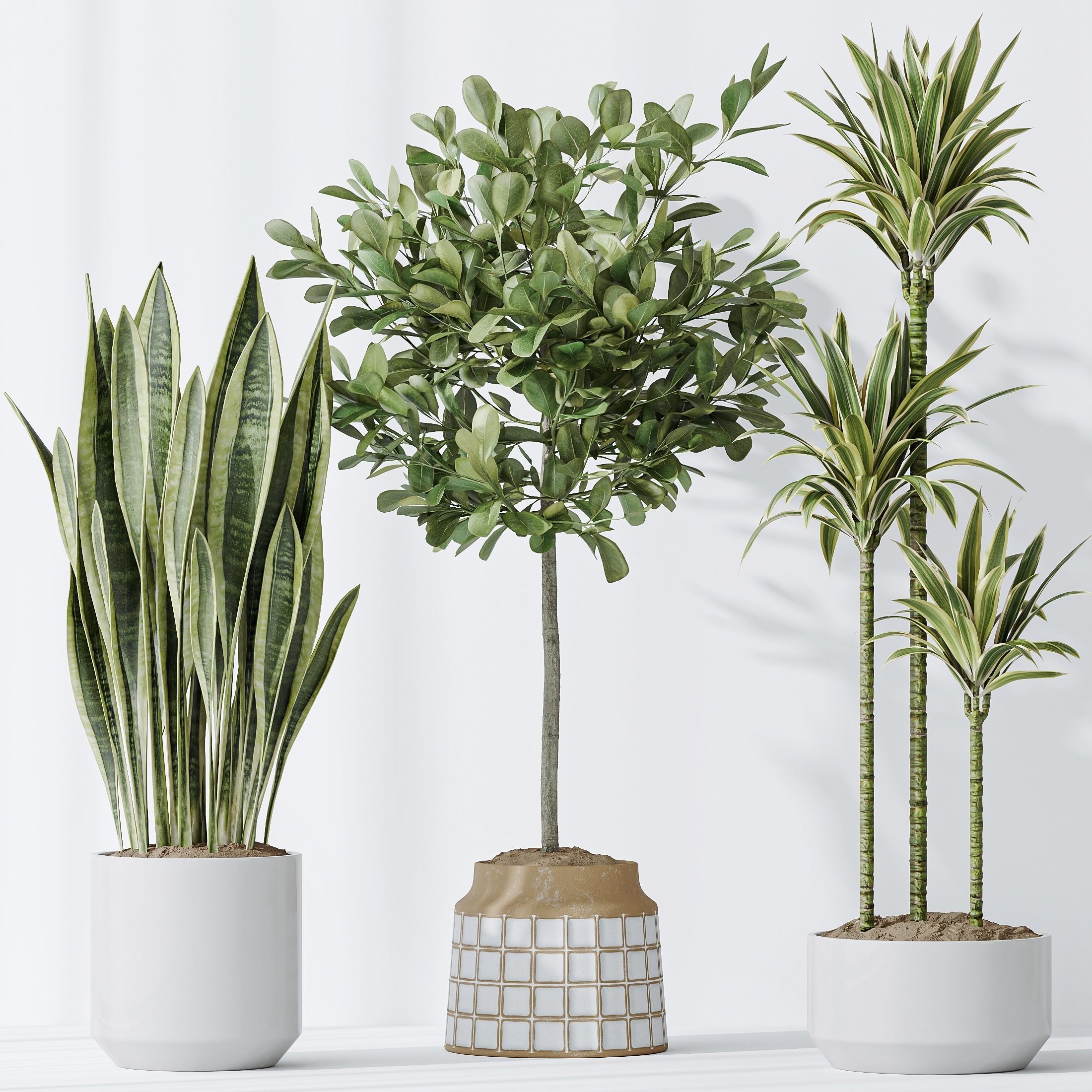 12 Different SETS of Plant Indoor SET VOL148 3D Model Collection_25