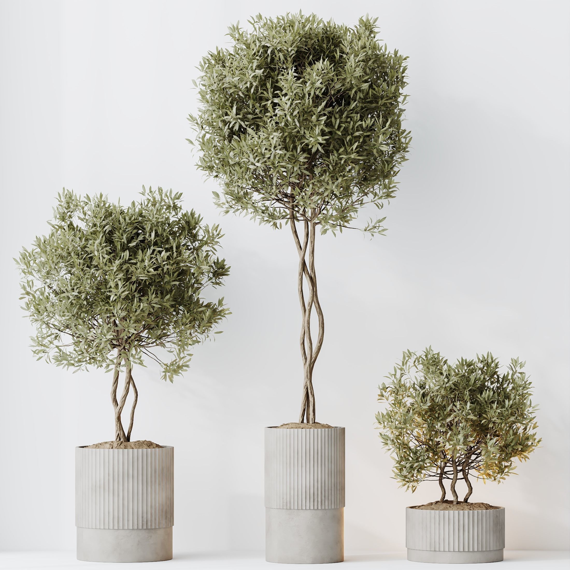 12 Different SETS of Plant Indoor SET VOL148 3D Model Collection_23