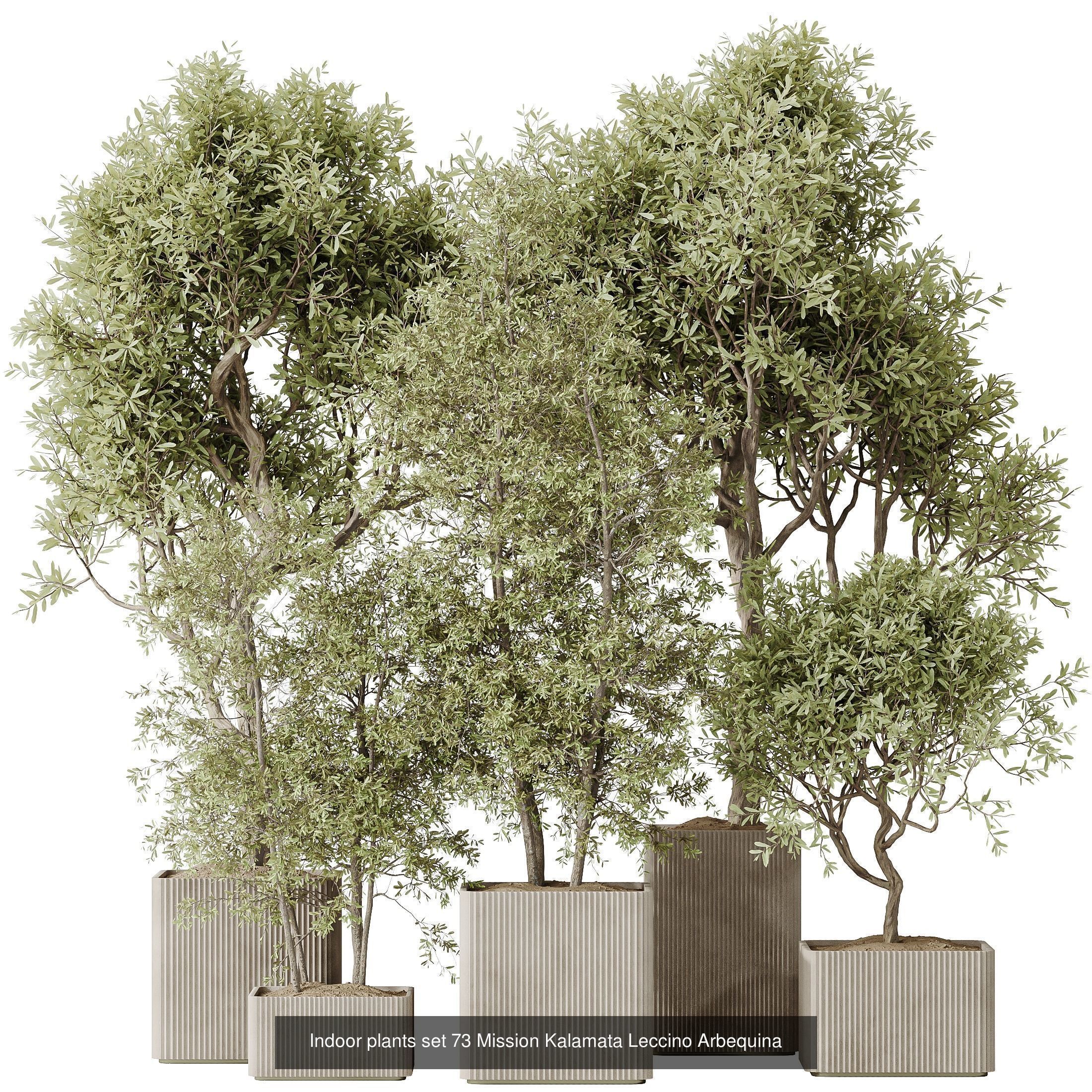 12 Different SETS of Plant Indoor SET VOL148 3D Model Collection_3