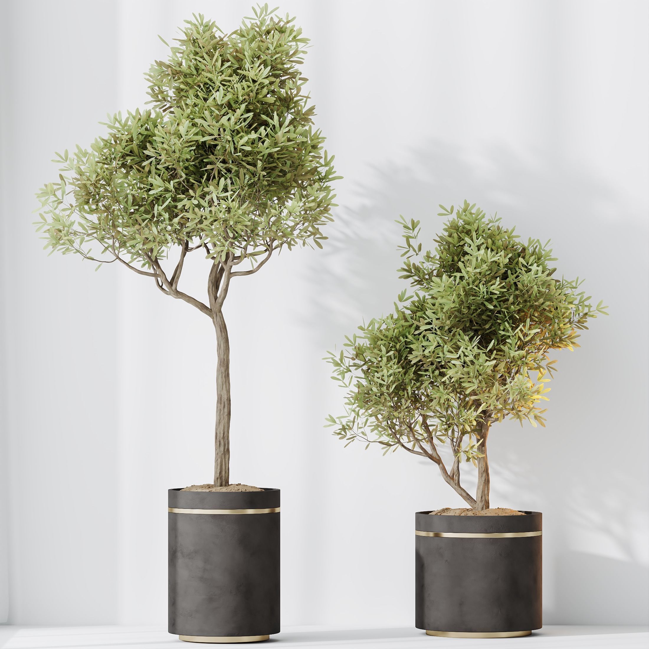 12 Different SETS of Plant Indoor SET VOL148 3D Model Collection_13