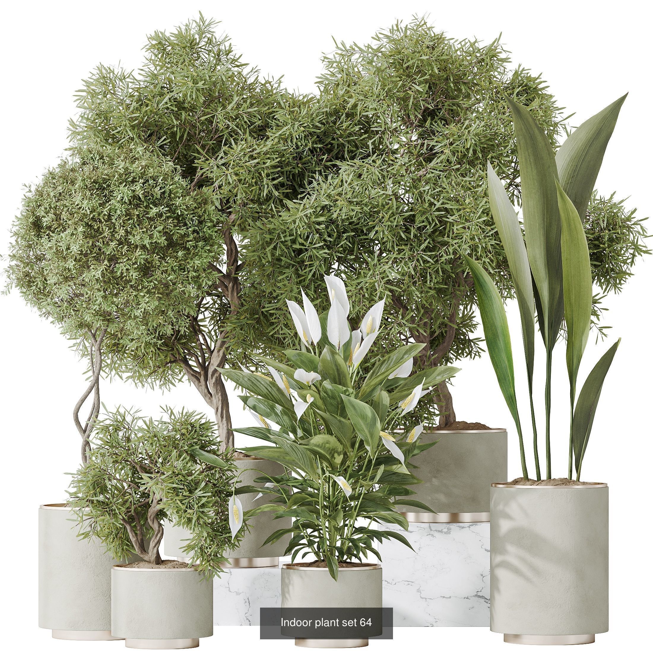 12 Different SETS of Plant Indoor SET VOL148 3D Model Collection_4