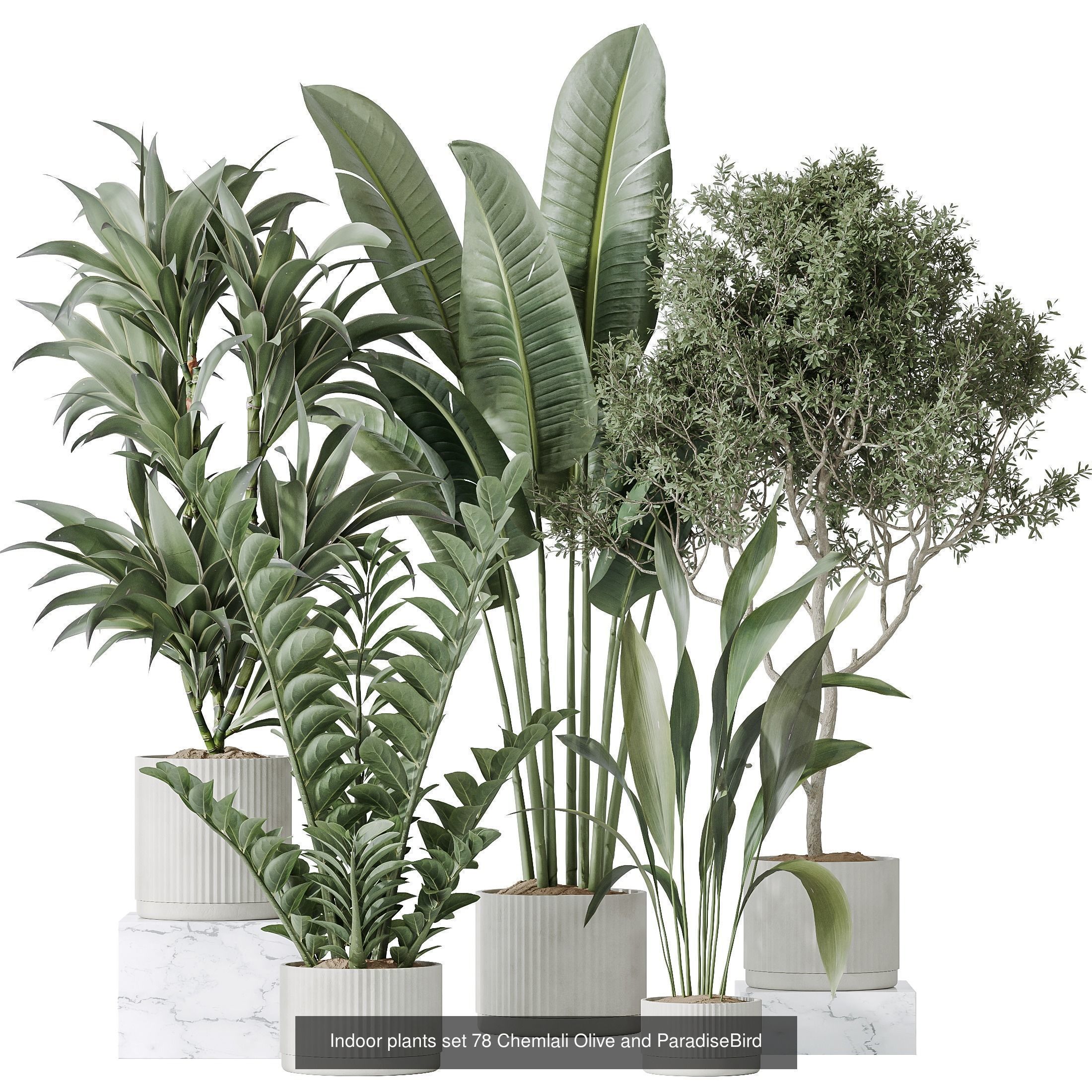 12 Different SETS of Plant Indoor SET VOL148 3D Model Collection_5