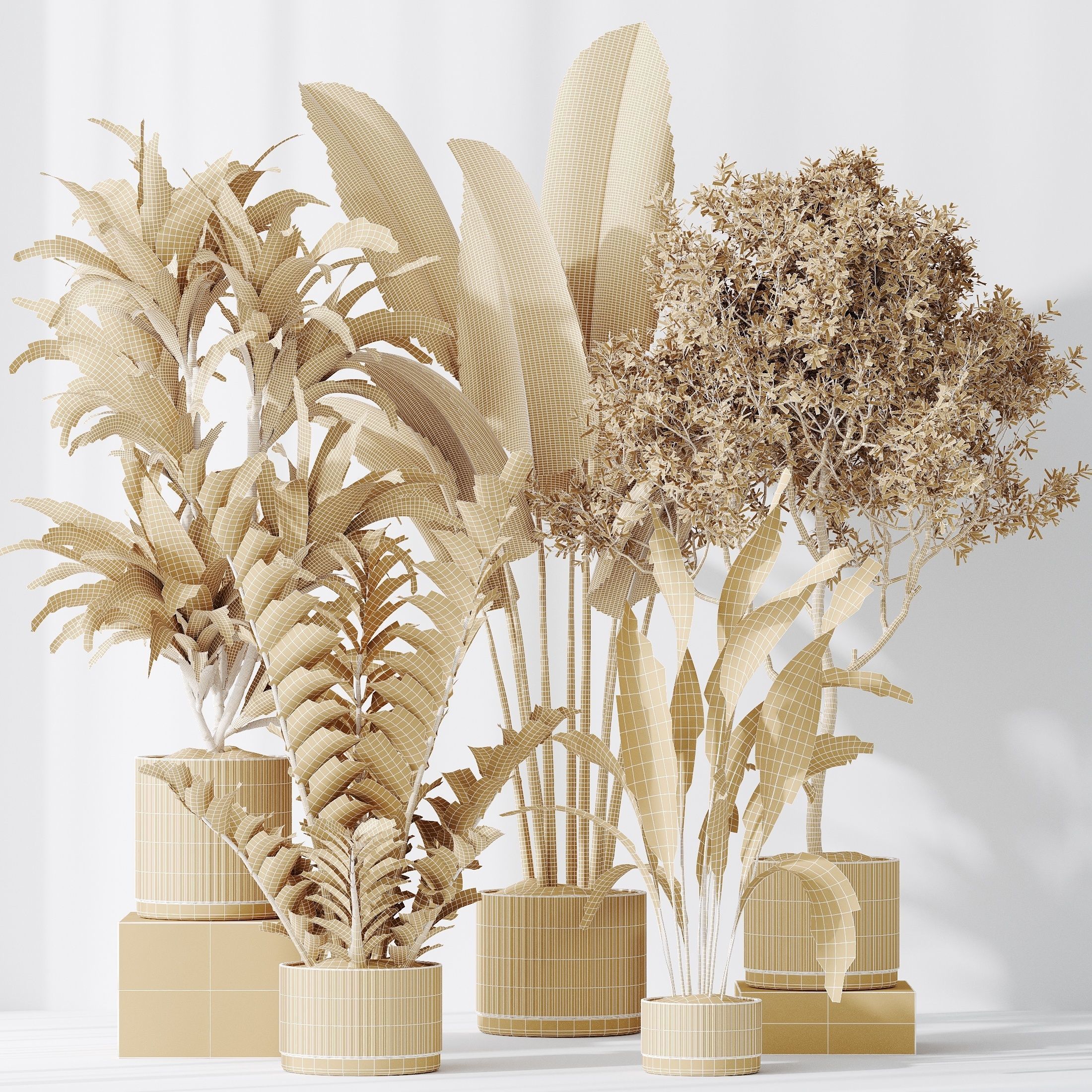 12 Different SETS of Plant Indoor SET VOL148 3D Model Collection_47