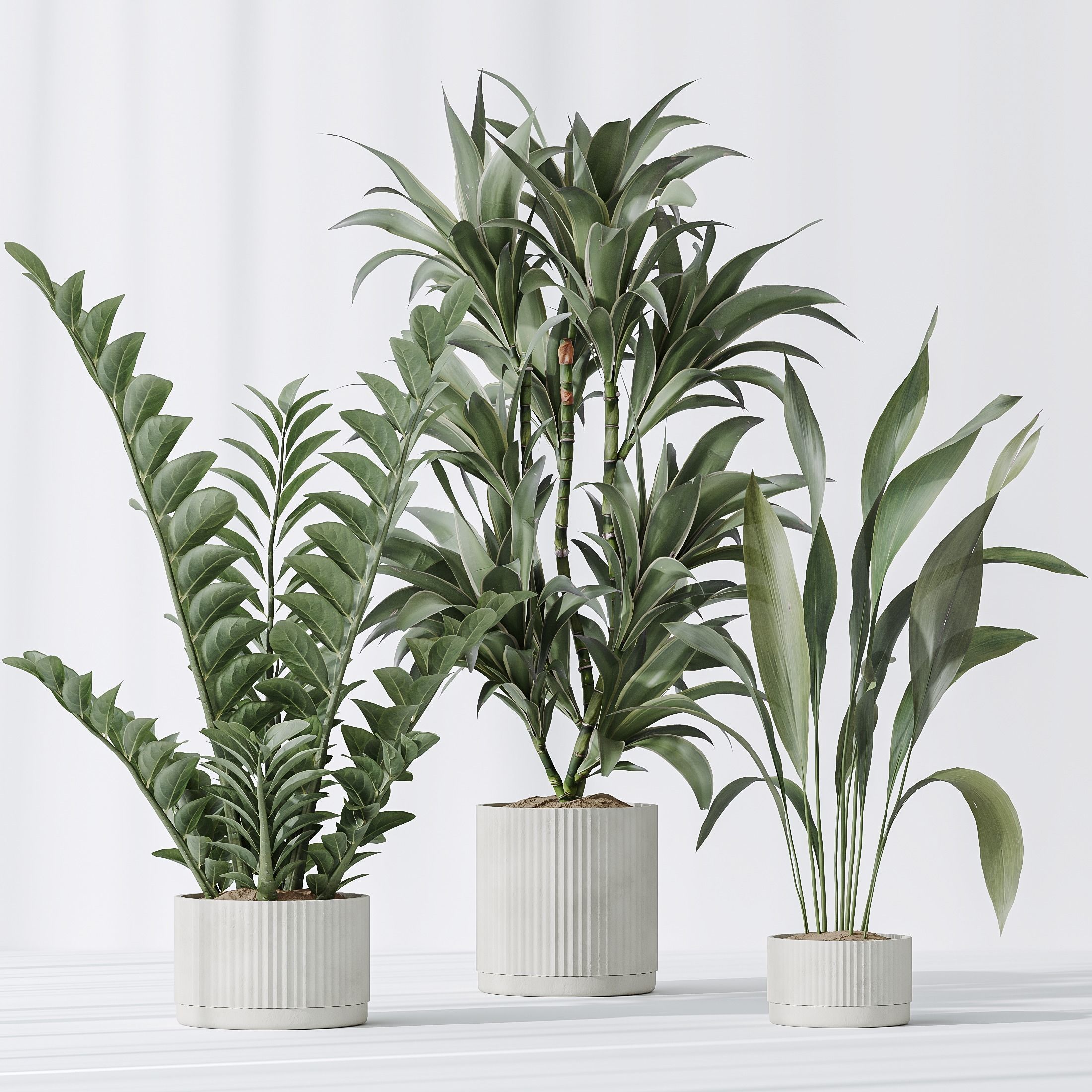 12 Different SETS of Plant Indoor SET VOL148 3D Model Collection_18