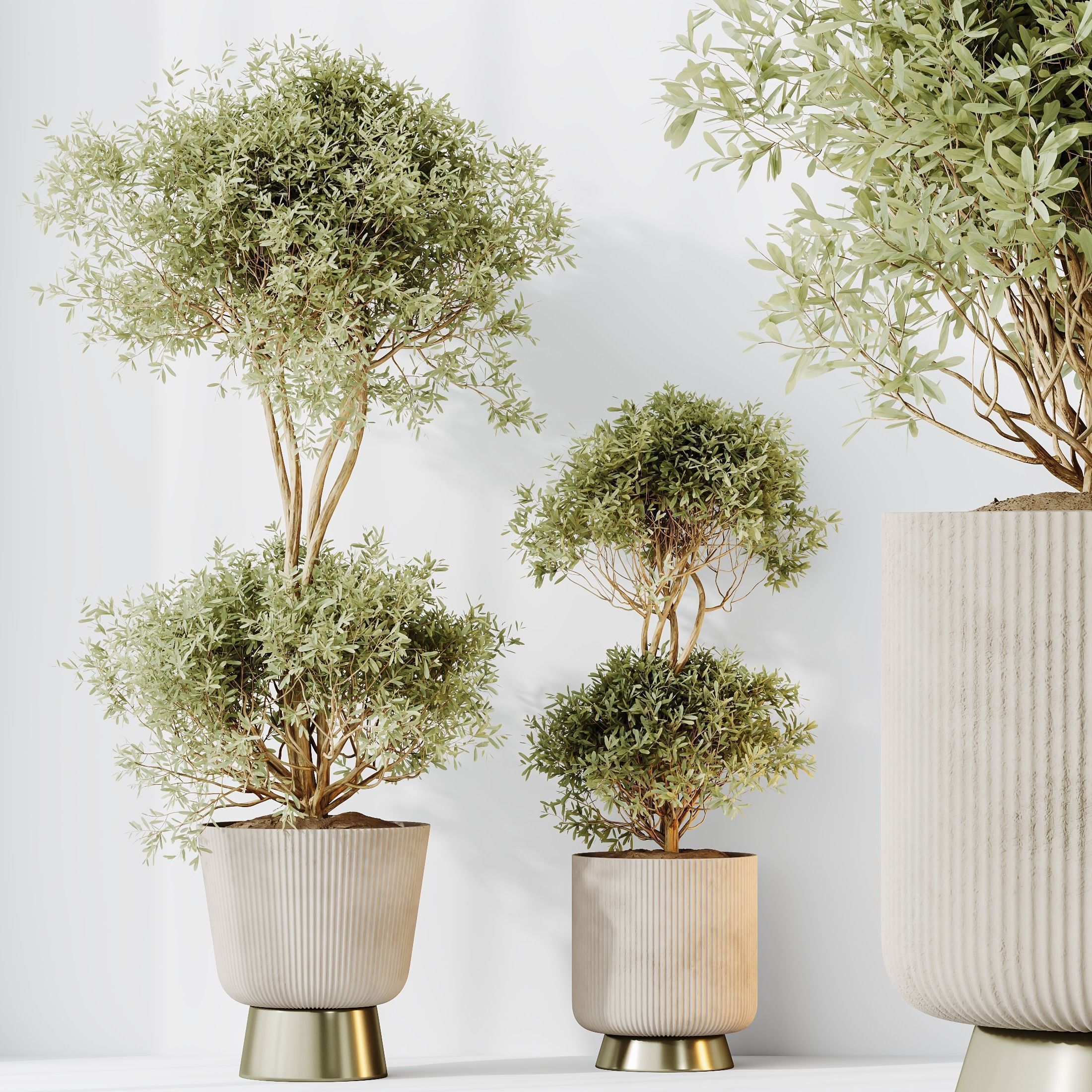 12 Different SETS of Plant Indoor SET VOL148 3D Model Collection_30