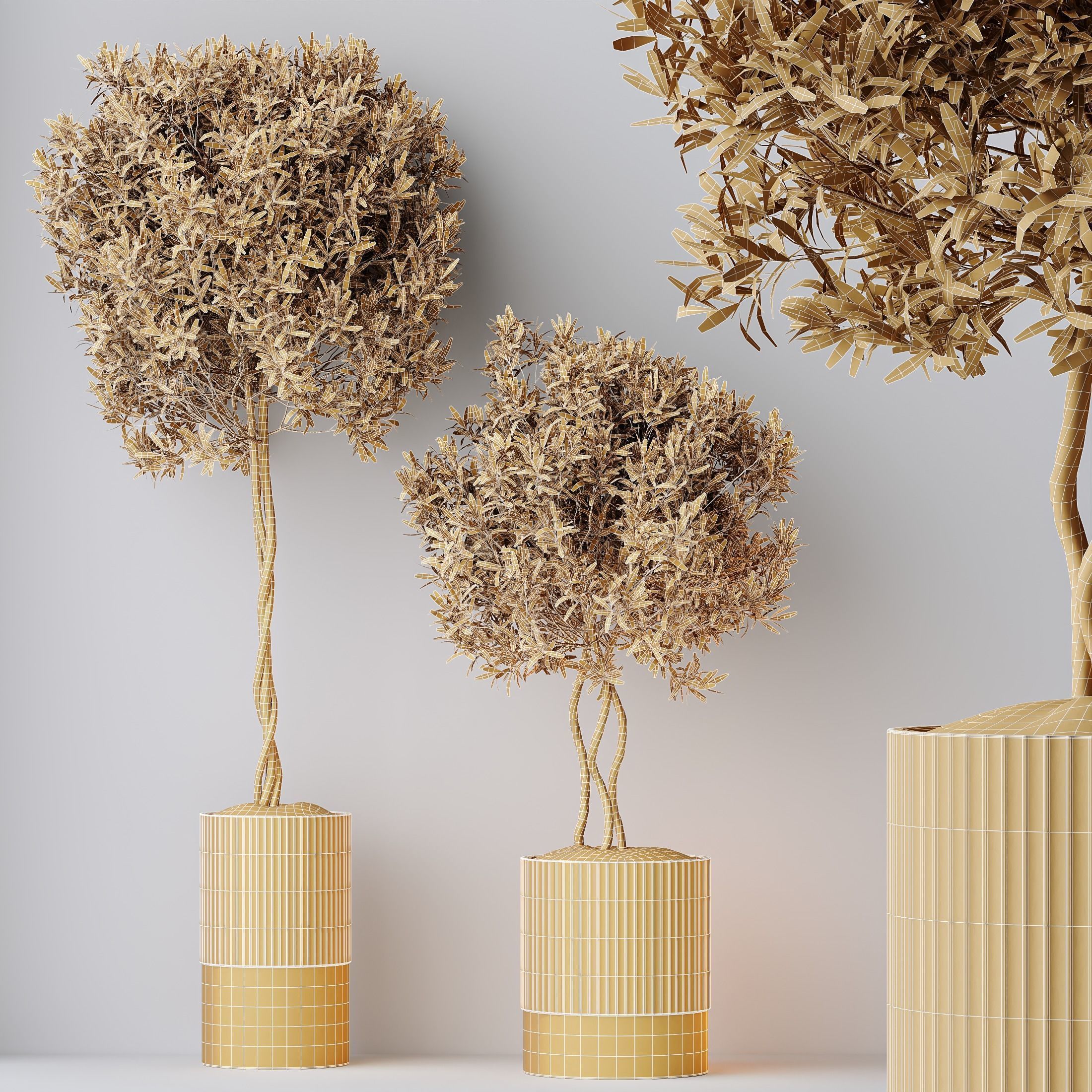 12 Different SETS of Plant Indoor SET VOL148 3D Model Collection_43