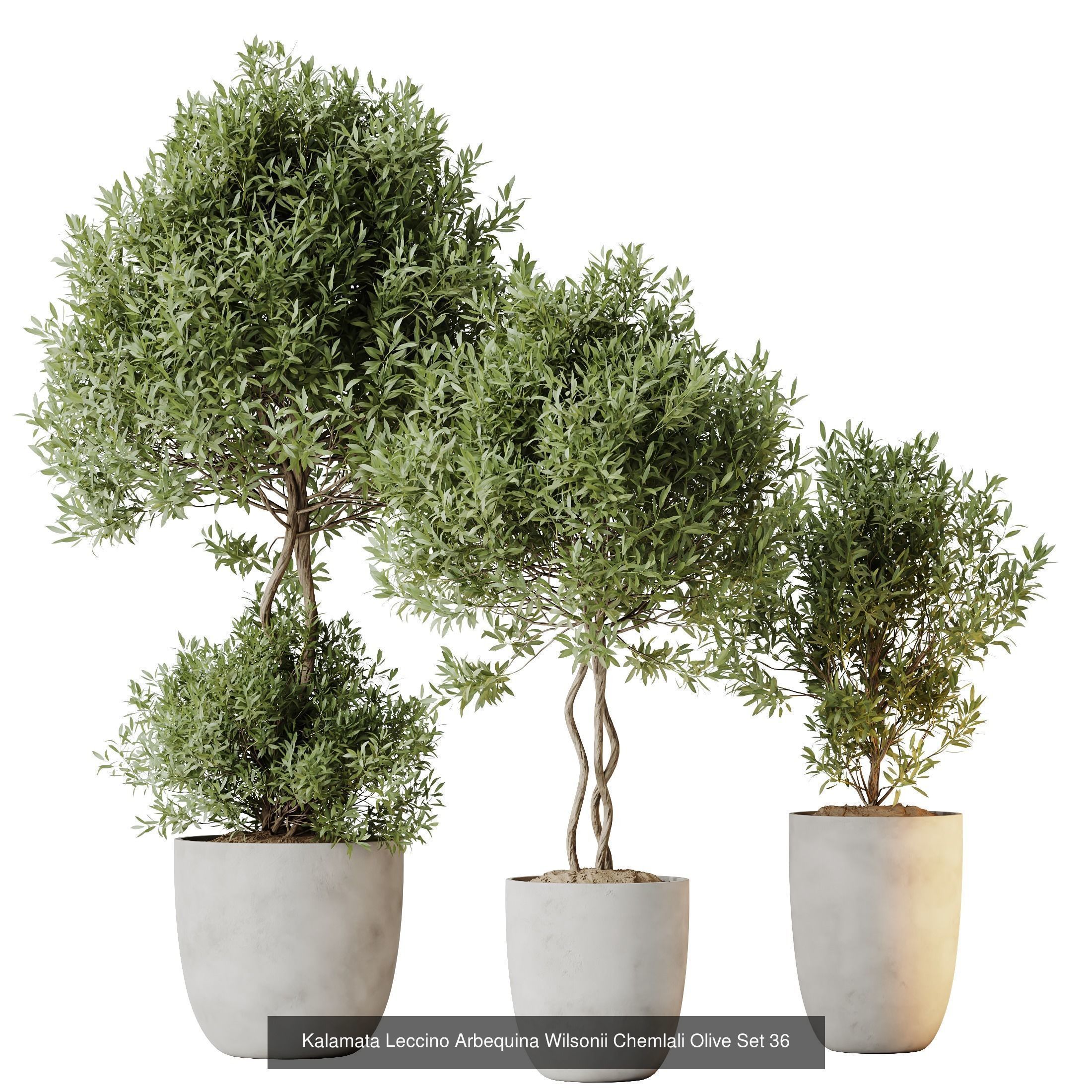 12 Different SETS of Plant Indoor SET VOL148 3D Model Collection_2