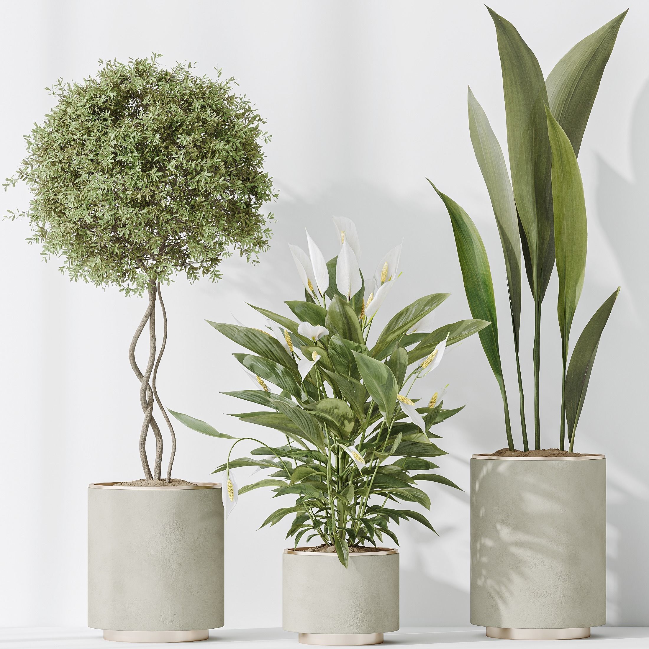 12 Different SETS of Plant Indoor SET VOL148 3D Model Collection_19