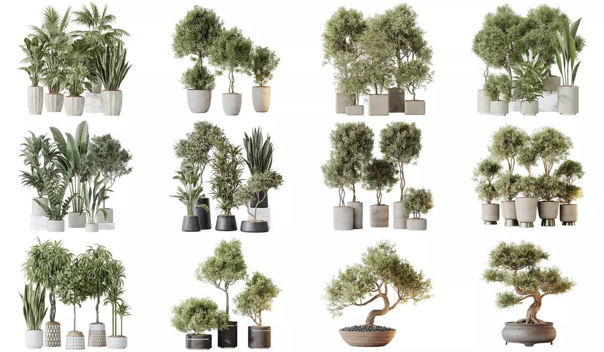 12 Different SETS of Plant Indoor SET VOL148 3D Model Collection_0
