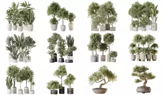 12 Different SETS of Plant Indoor SET VOL148