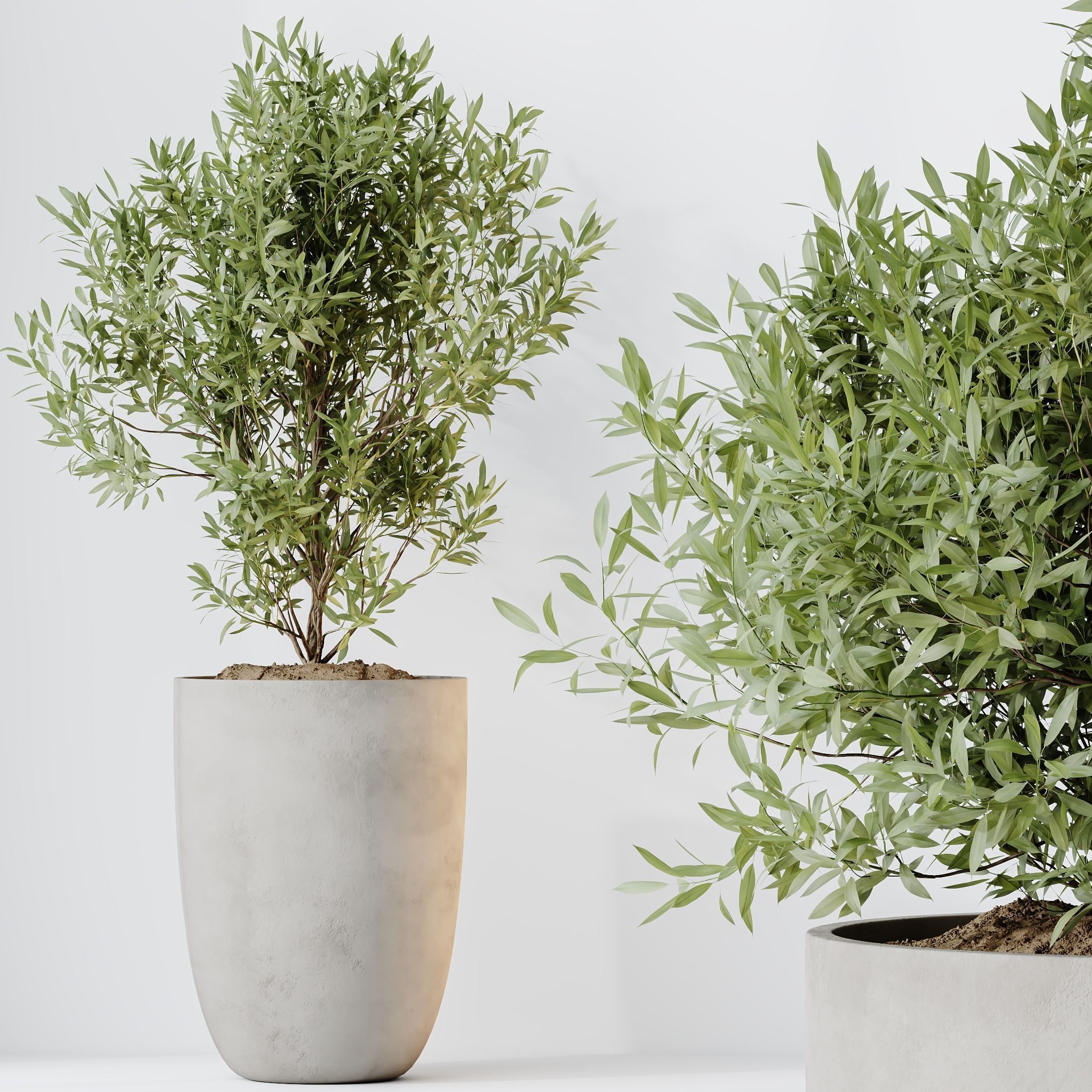 12 Different SETS of Plant Indoor SET VOL148 3D Model Collection_32