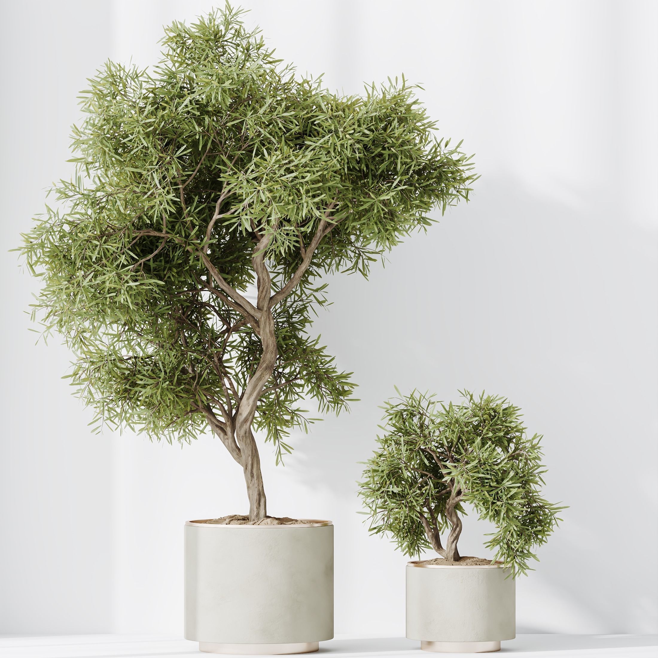 12 Different SETS of Plant Indoor SET VOL148 3D Model Collection_28