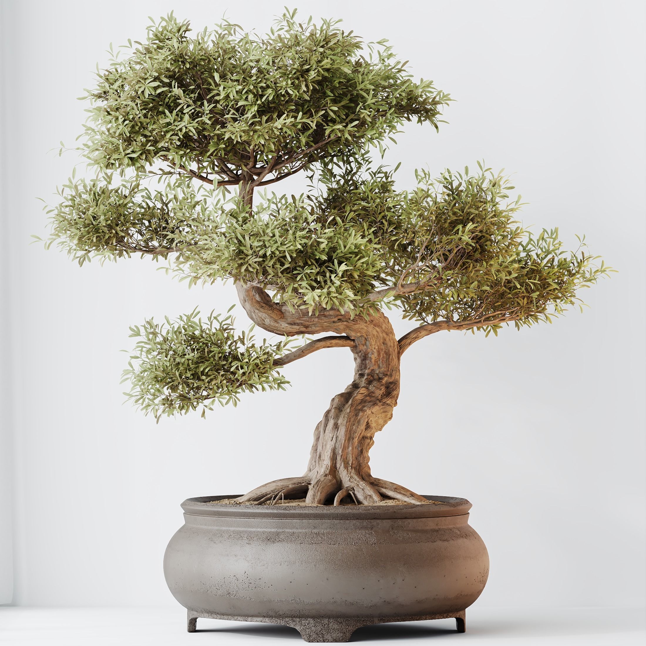 12 Different SETS of Plant Indoor SET VOL148 3D Model Collection_26