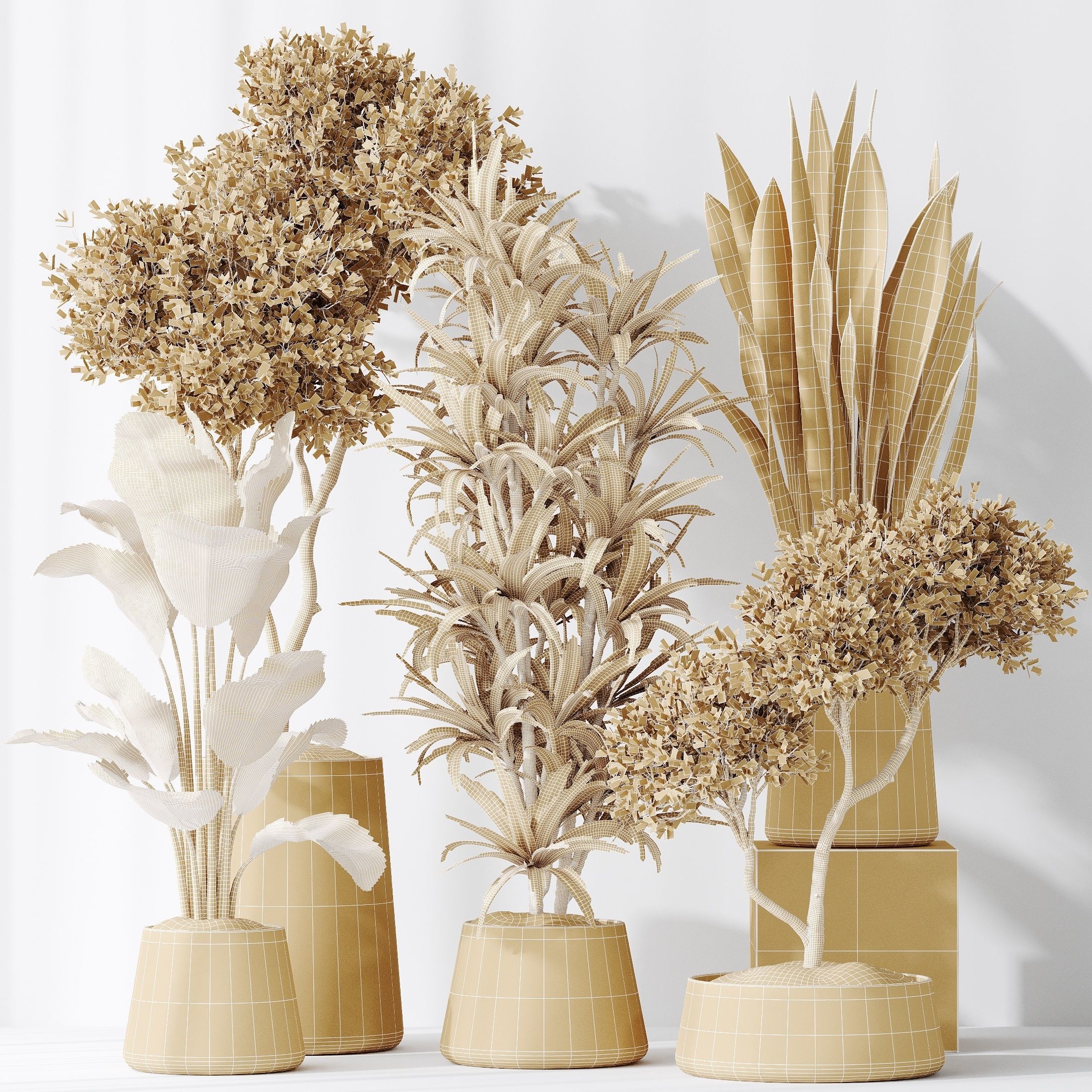 12 Different SETS of Plant Indoor SET VOL148 3D Model Collection_46