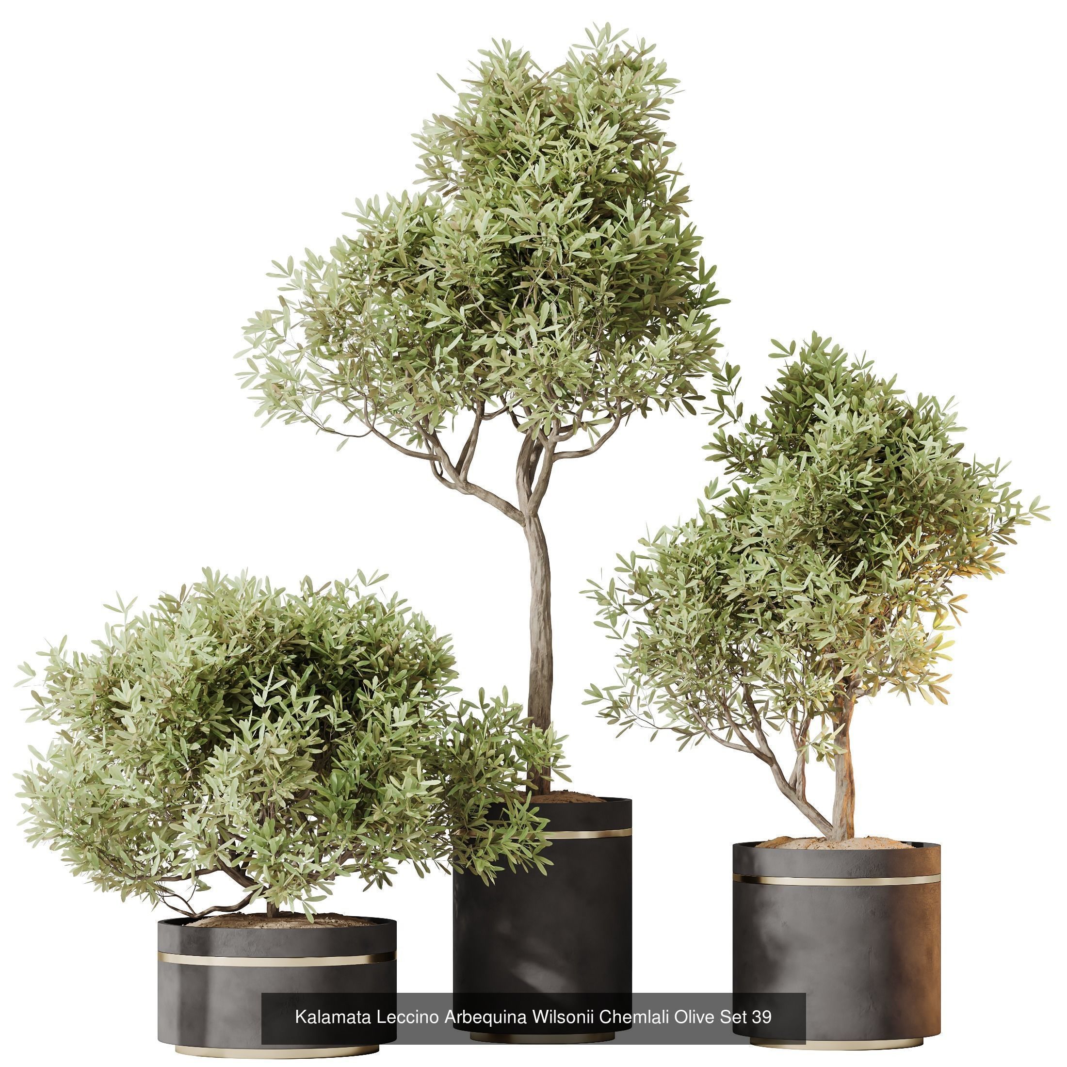 12 Different SETS of Plant Indoor SET VOL148 3D Model Collection_10