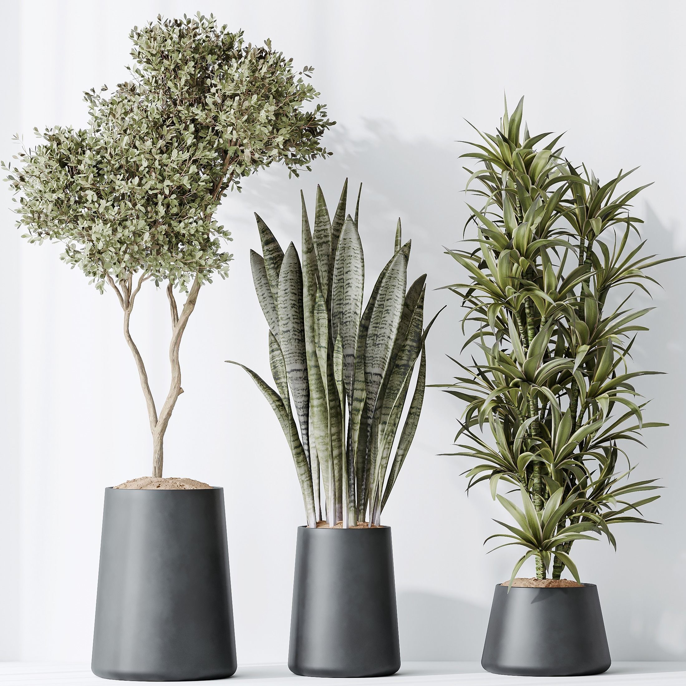 12 Different SETS of Plant Indoor SET VOL148 3D Model Collection_33