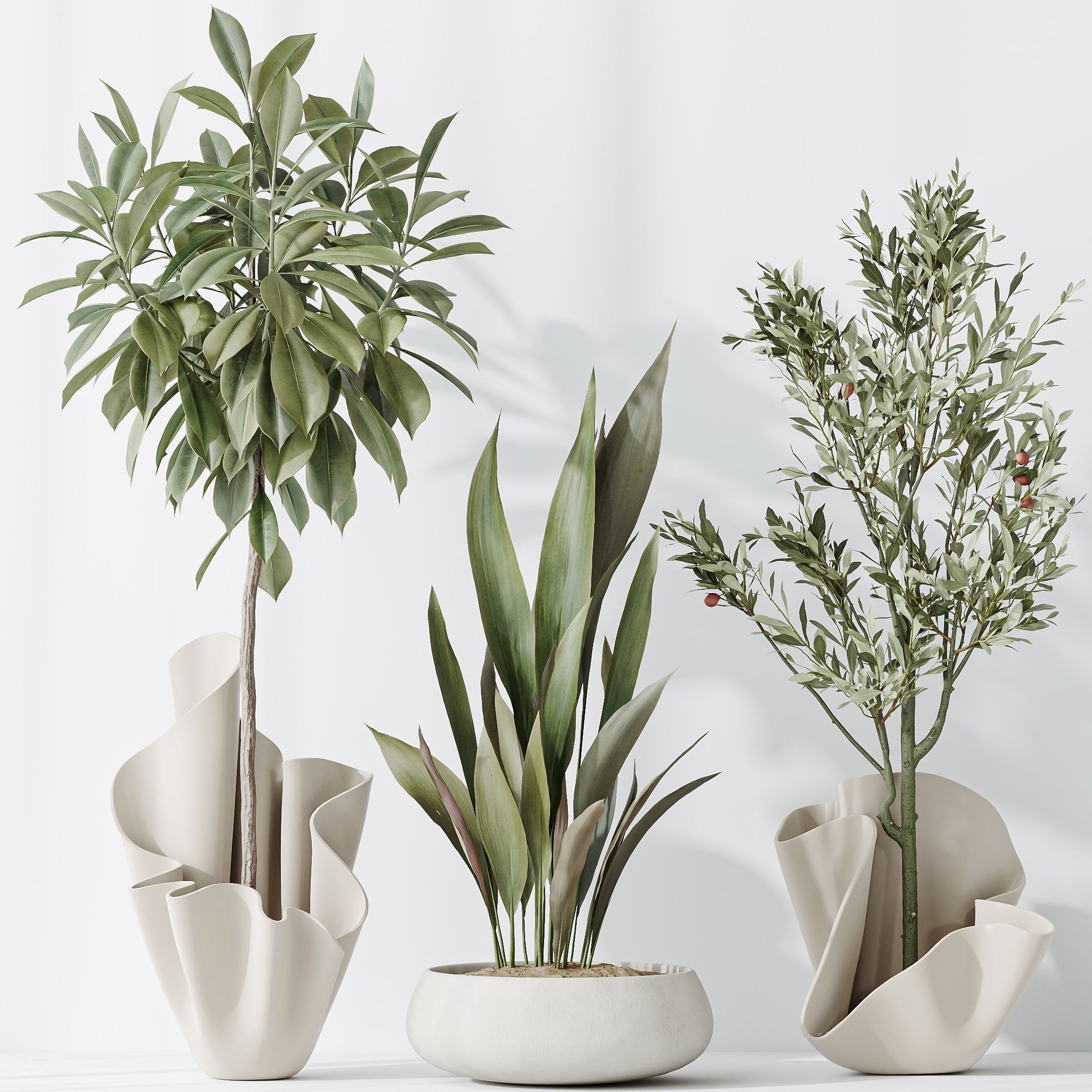 12 Different SETS of Plant Indoor SET VOL149 3D Model Collection_13