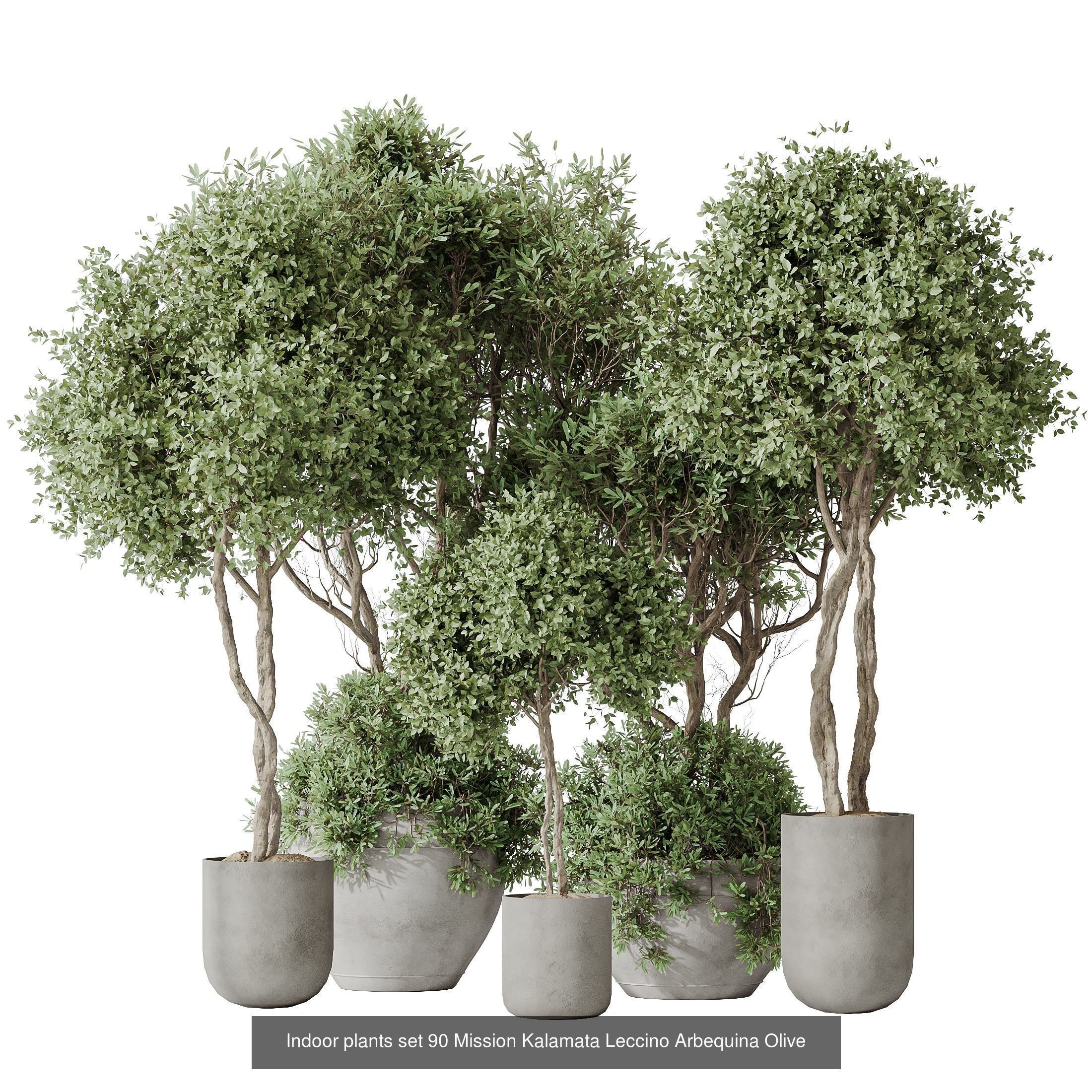 12 Different SETS of Plant Indoor SET VOL149 3D Model Collection_6