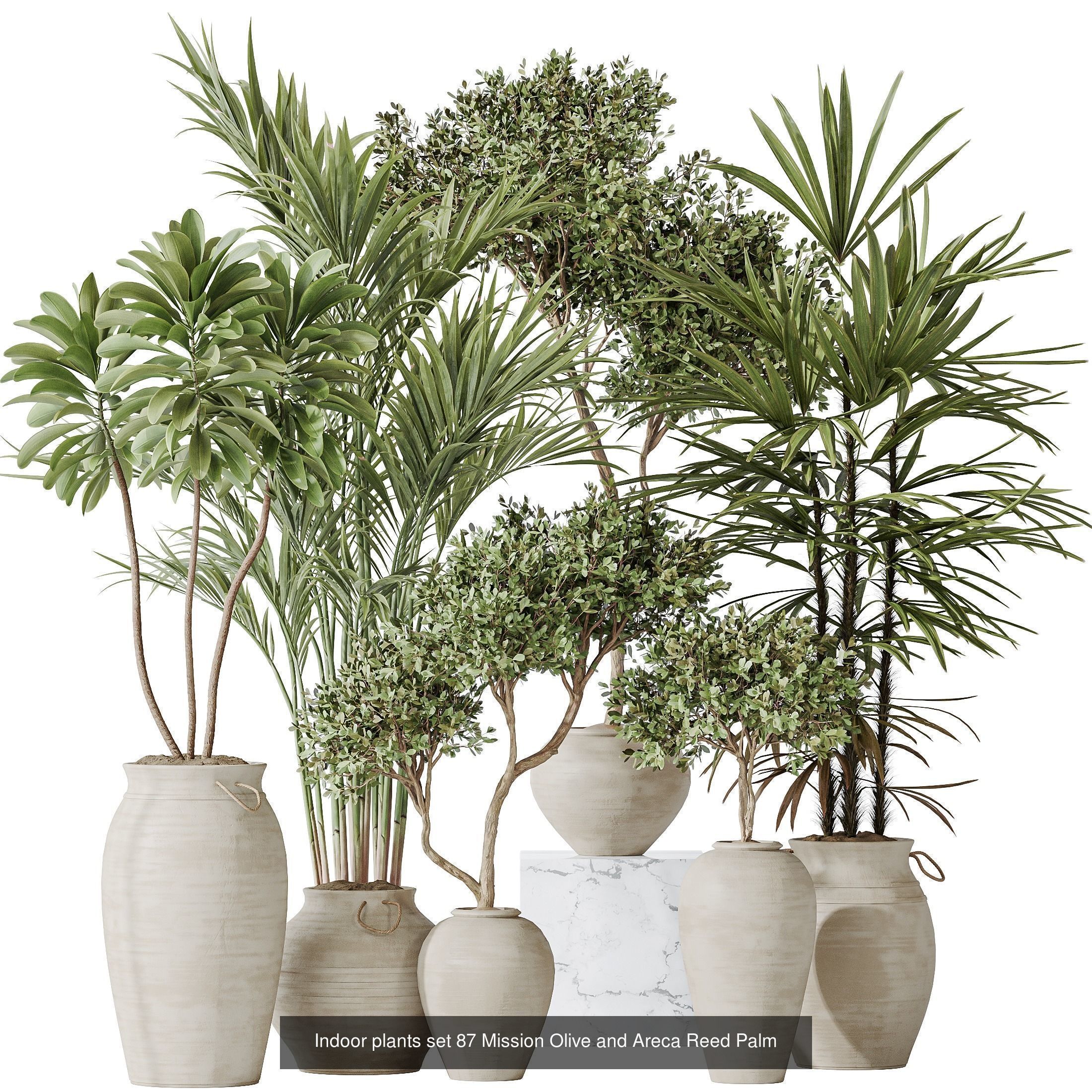 12 Different SETS of Plant Indoor SET VOL149 3D Model Collection_12