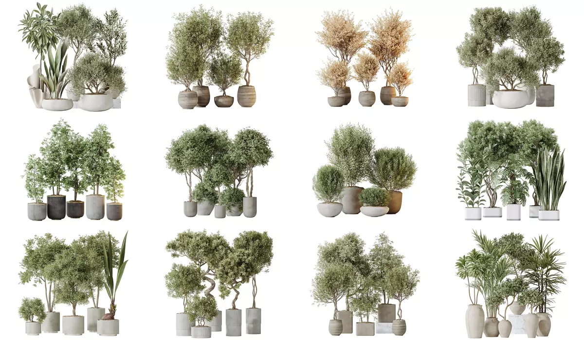 12 Different SETS of Plant Indoor SET VOL149 3D Model Collection_0