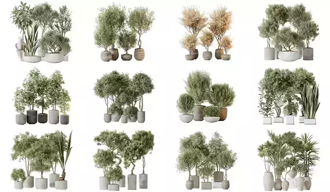 12 Different SETS of Plant Indoor SET VOL149 3D Model Collection