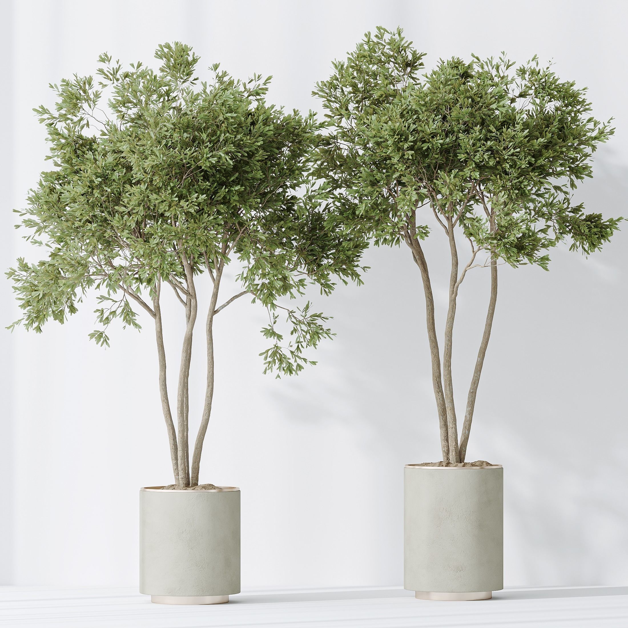 12 Different SETS of Plant Indoor SET VOL149 3D Model Collection_33