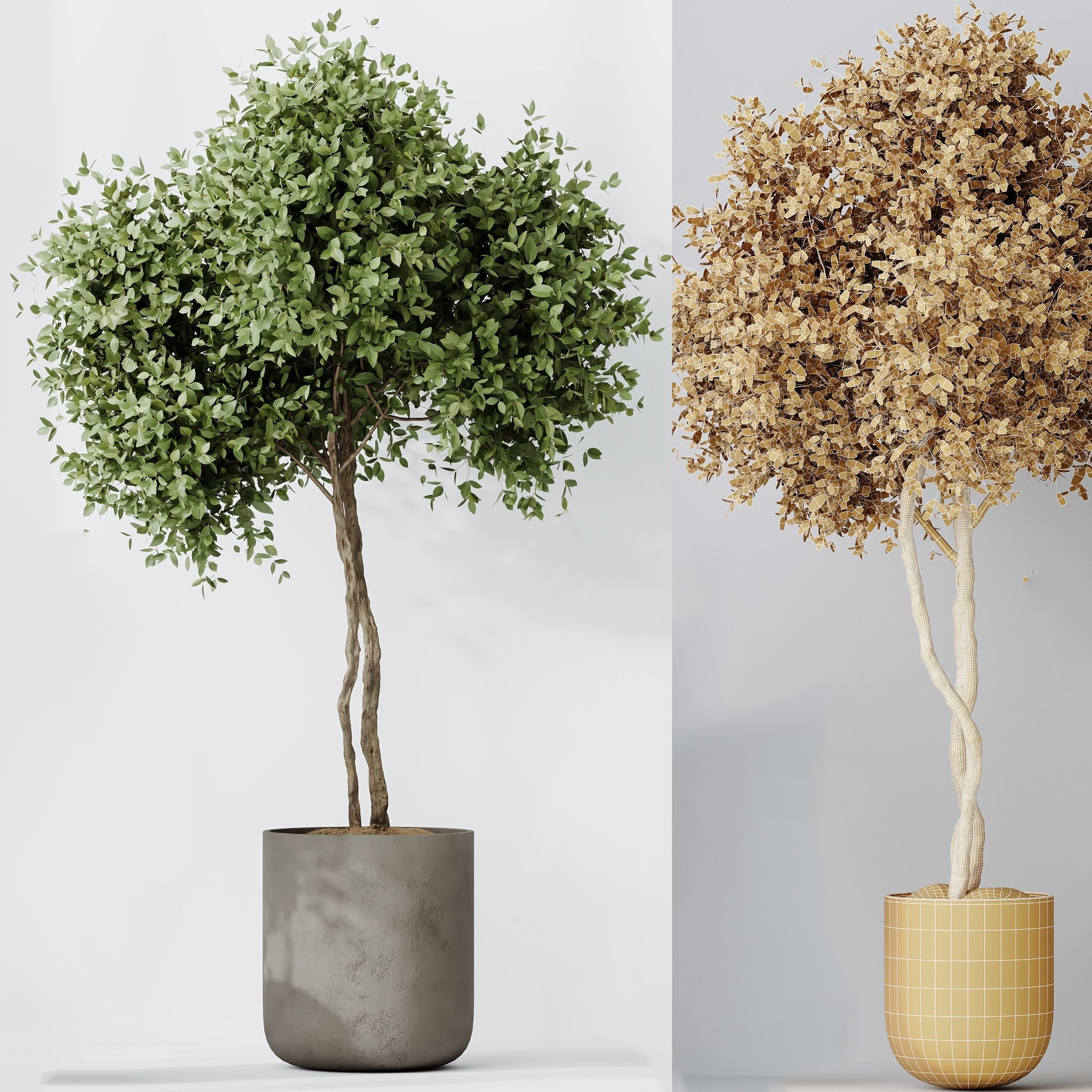 12 Different SETS of Plant Indoor SET VOL149 3D Model Collection_41