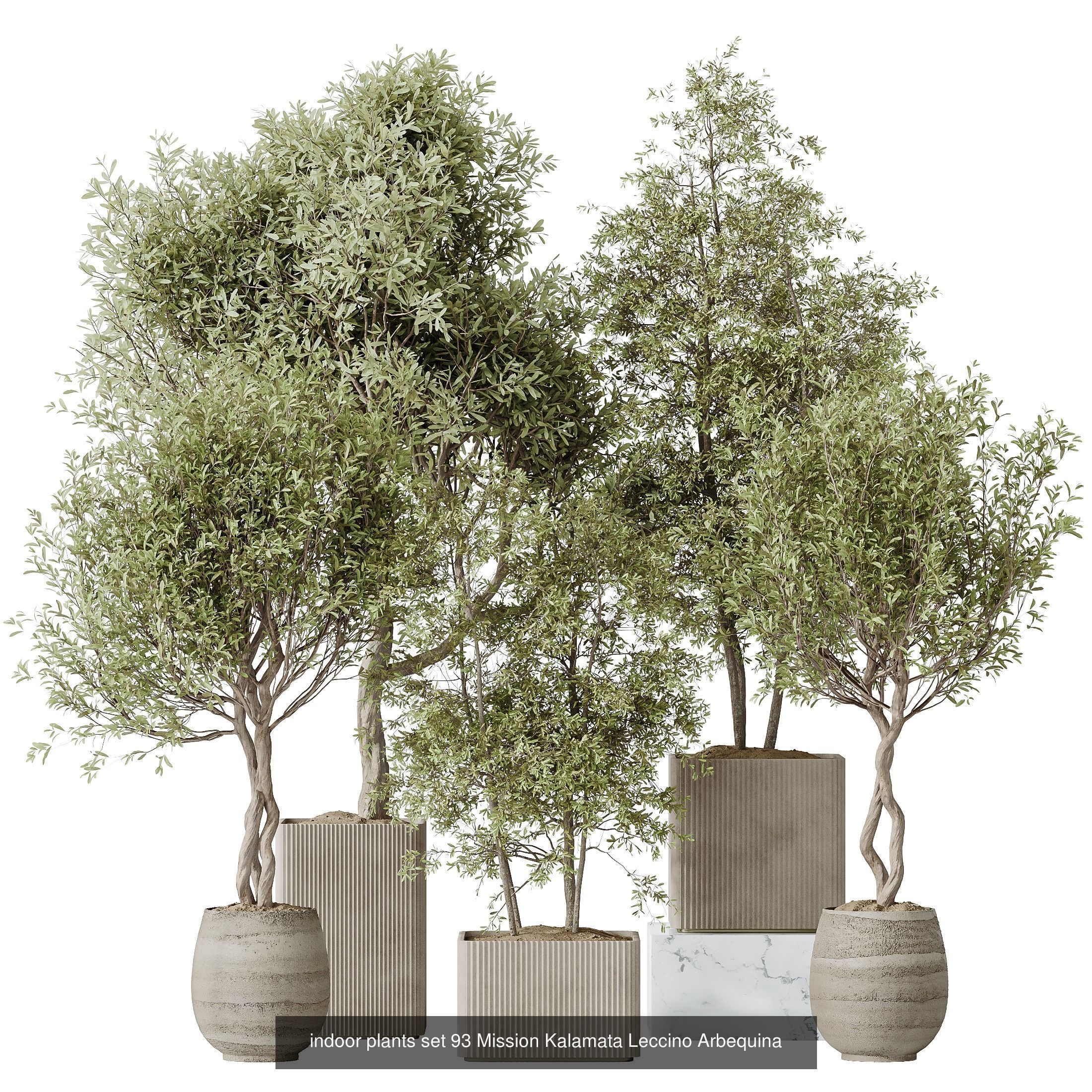 12 Different SETS of Plant Indoor SET VOL149 3D Model Collection_11