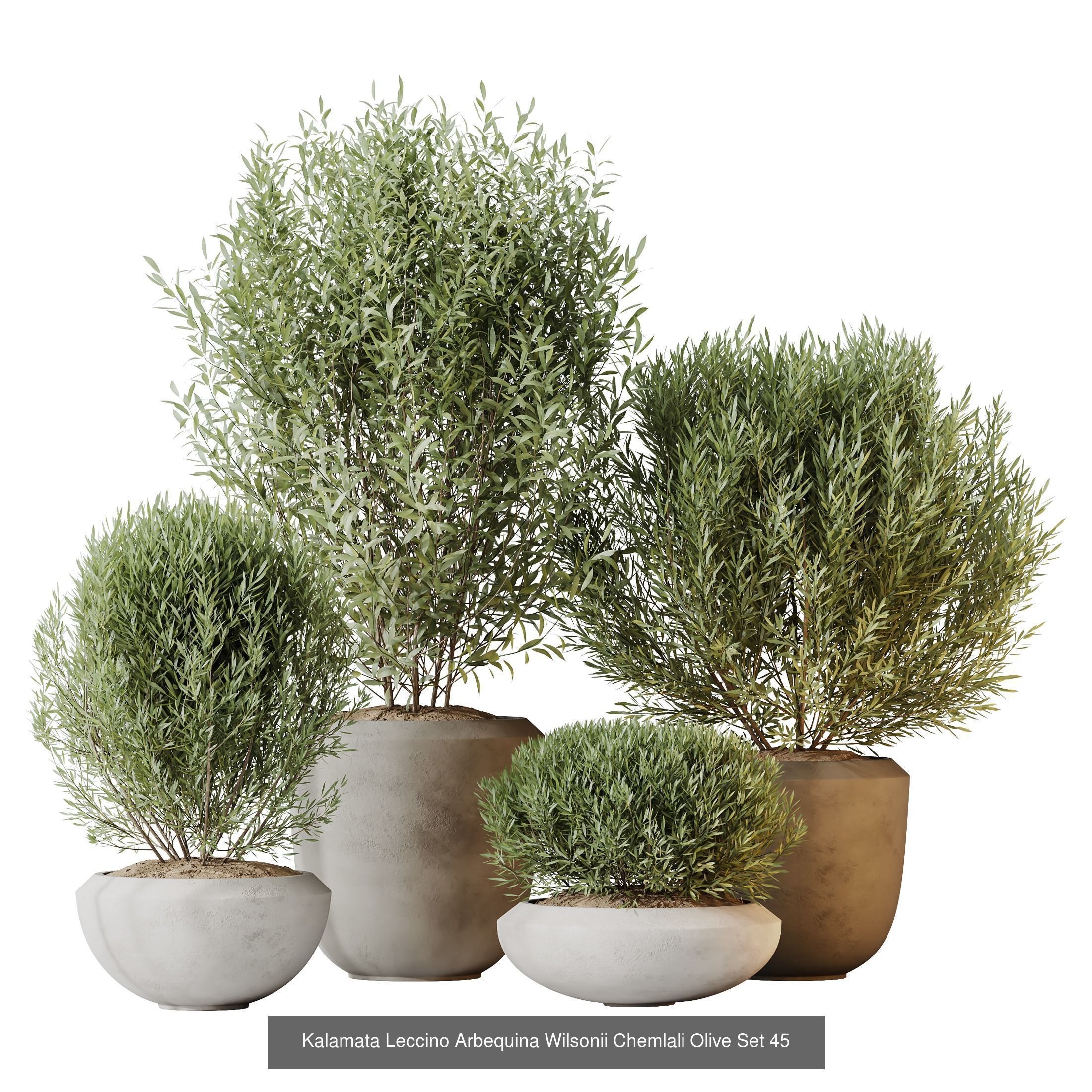 12 Different SETS of Plant Indoor SET VOL149 3D Model Collection_7