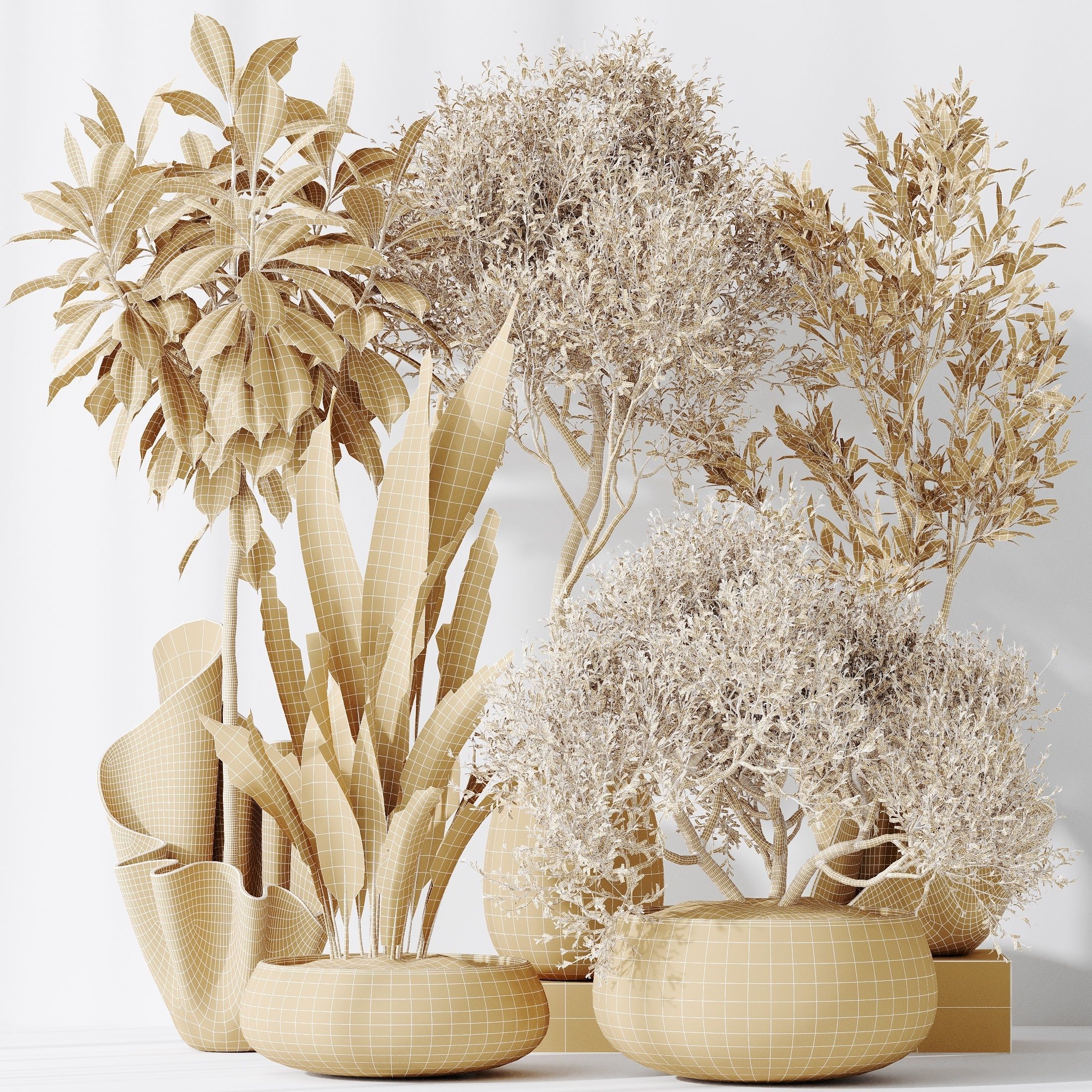 12 Different SETS of Plant Indoor SET VOL149 3D Model Collection_42