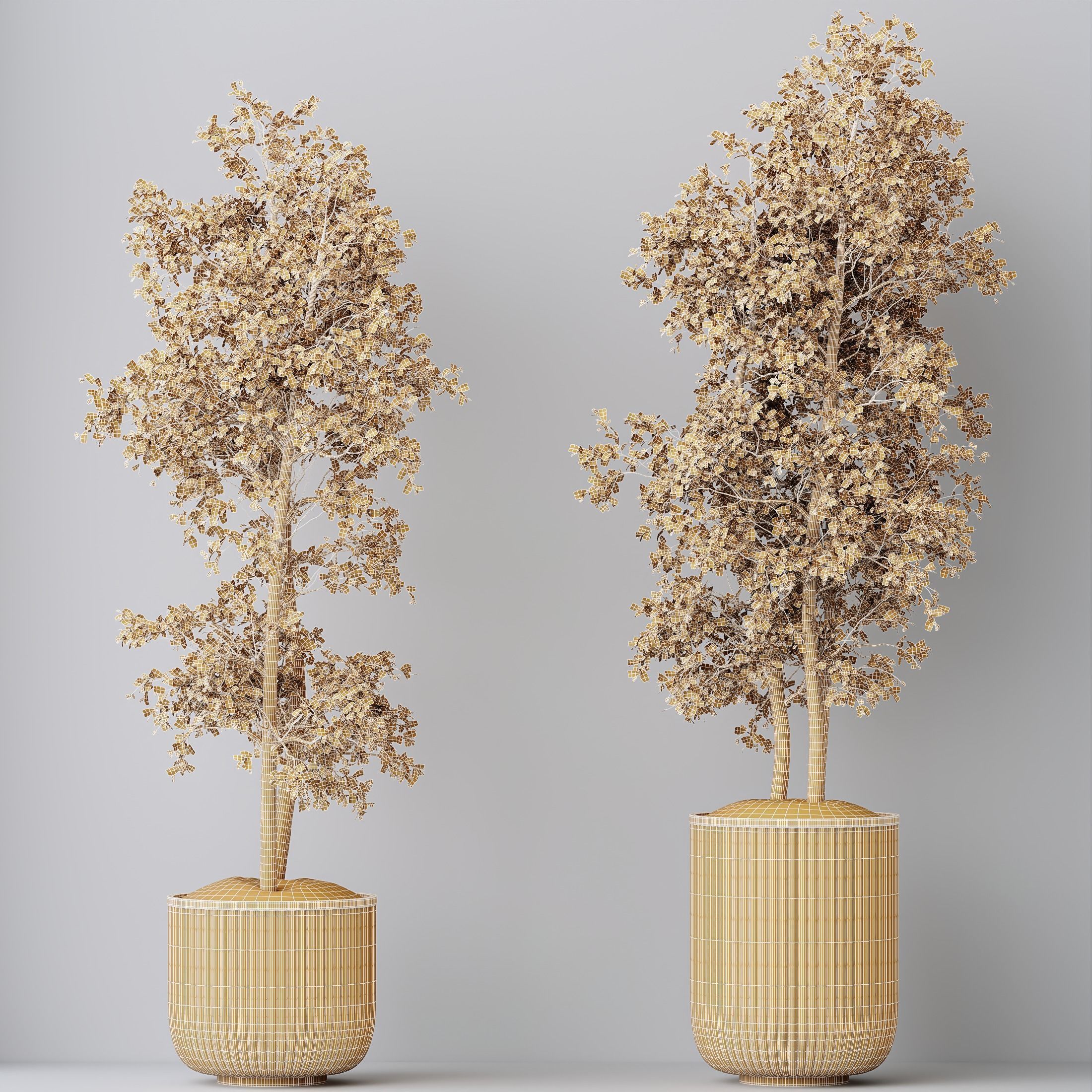 12 Different SETS of Plant Indoor SET VOL149 3D Model Collection_49