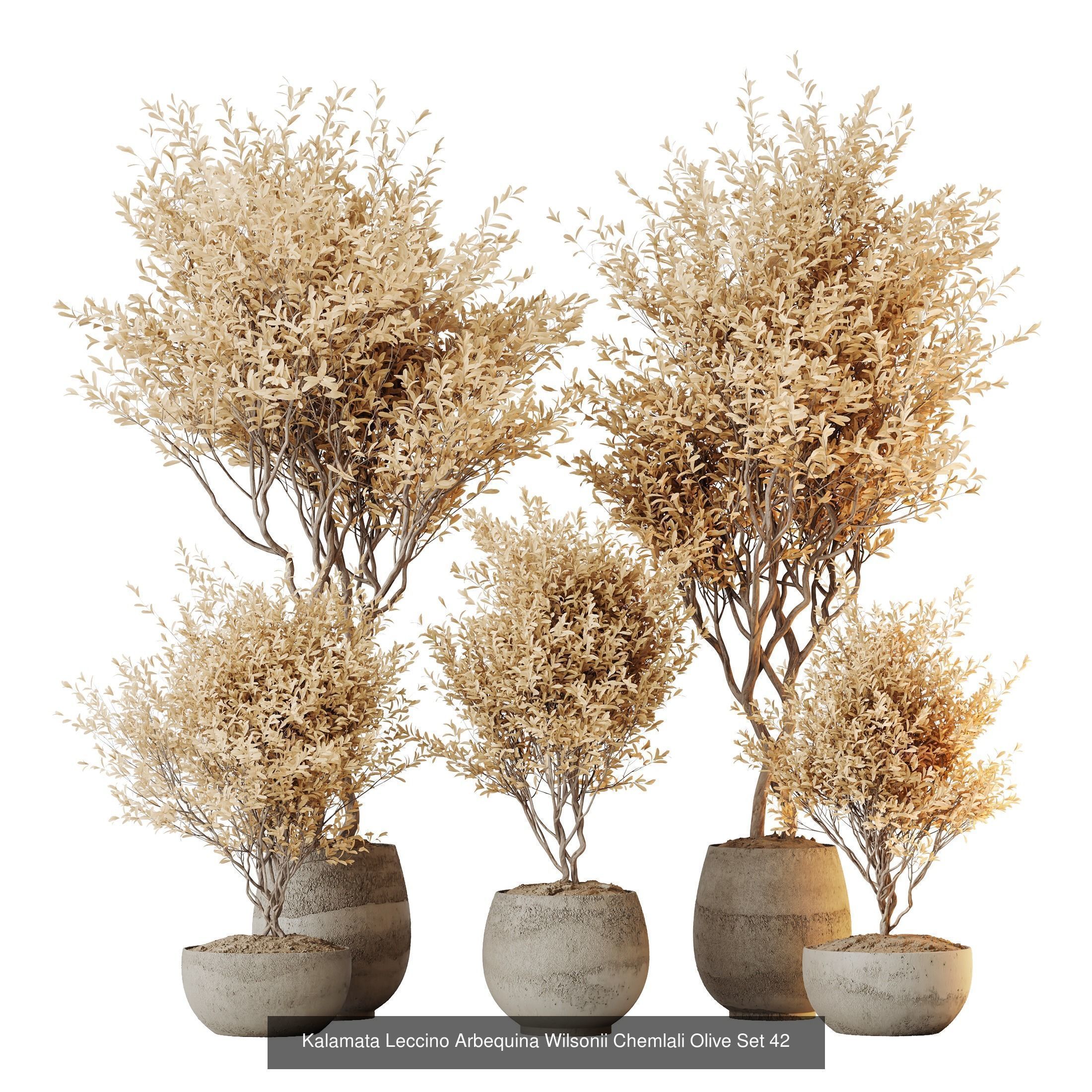 12 Different SETS of Plant Indoor SET VOL149 3D Model Collection_3